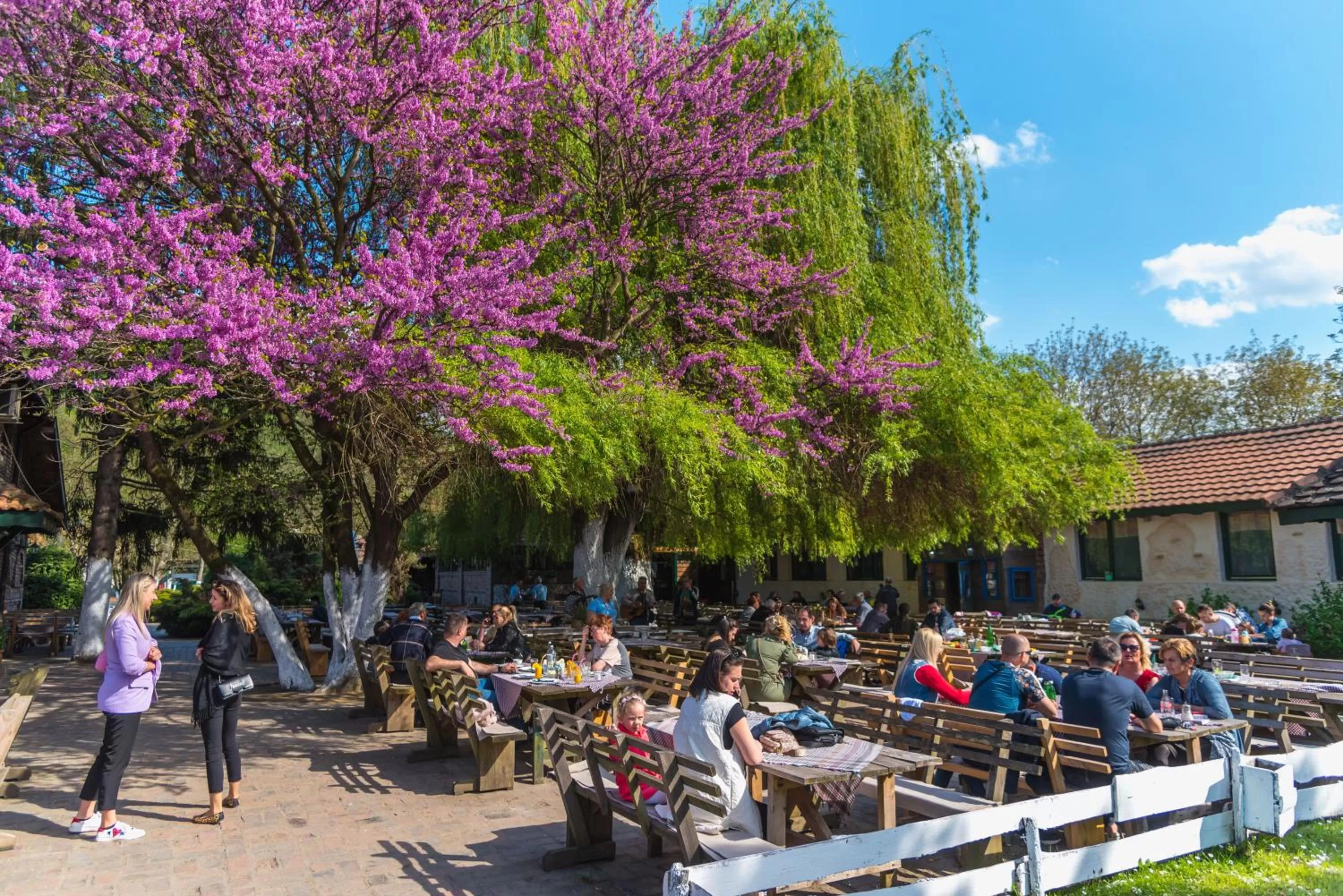Restaurant/places to eat in B&B Etno Village Sunčana Reka