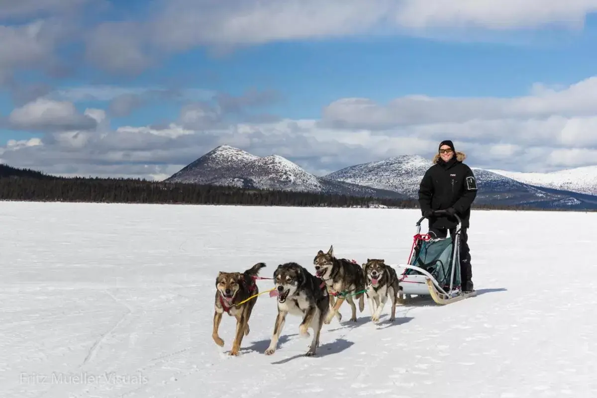 Sports, Horseback Riding in Inn on the Lake - Whitehorse