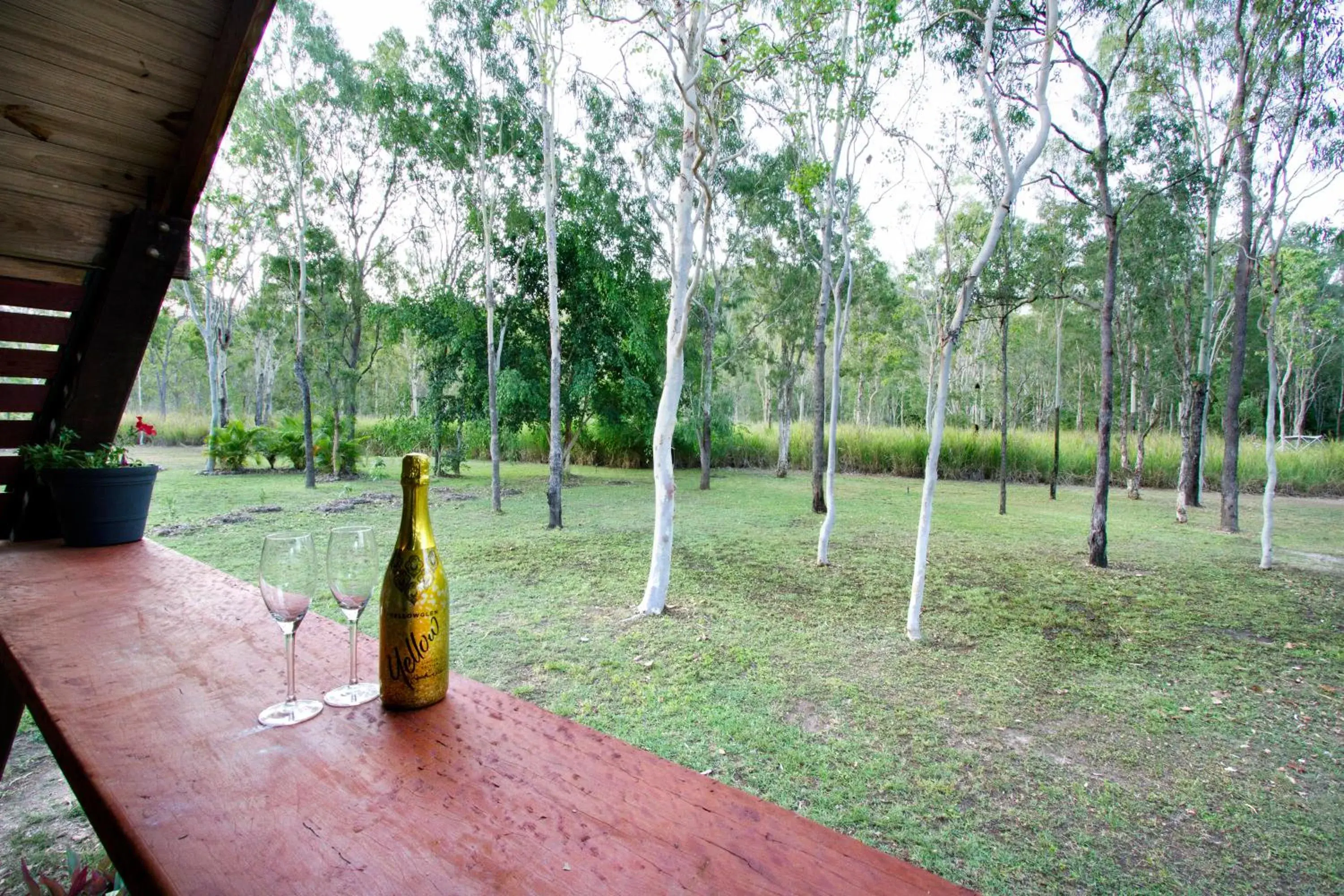 Garden in Airlie Beach Eco Cabins - Adults Only