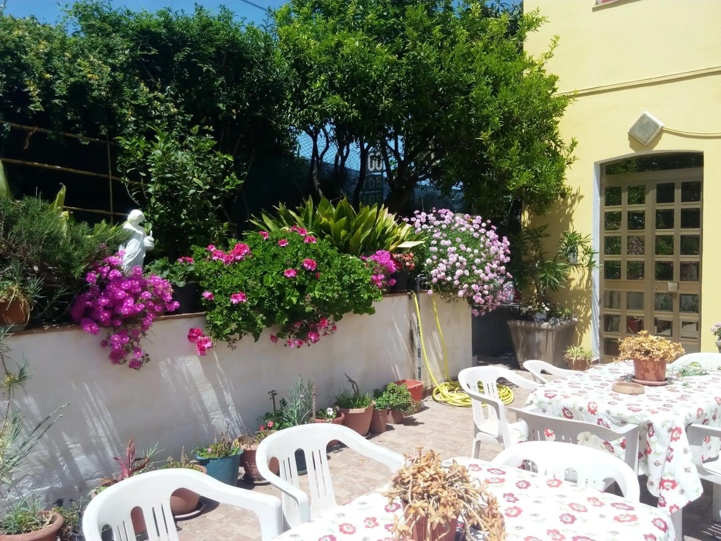 Garden, Banquet Facilities in Hotel Eliseo
