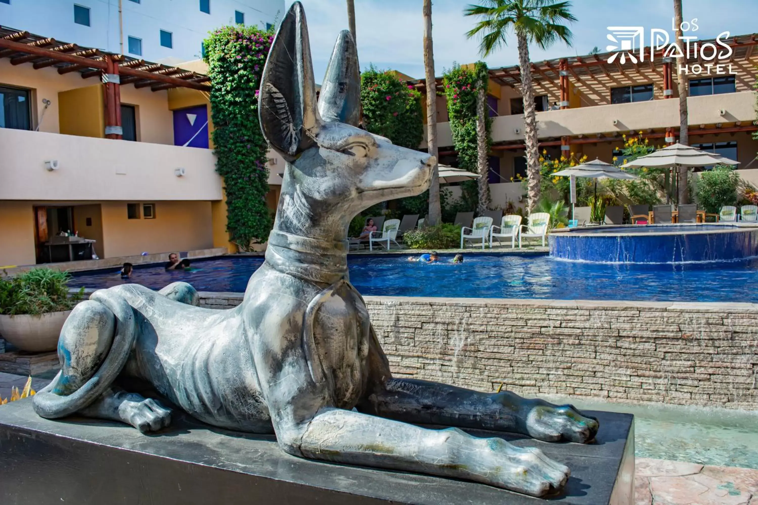 Pets, Other Animals in Hotel Los Patios
