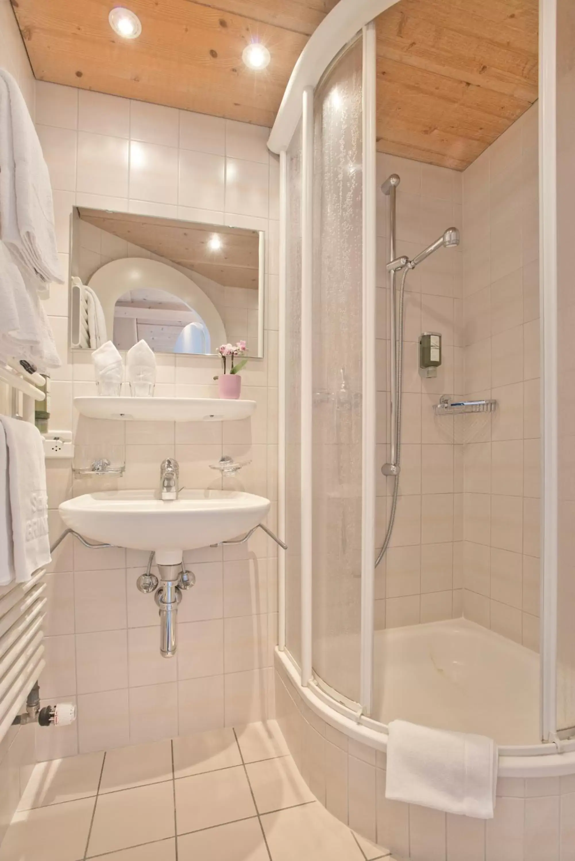 Shower, Bathroom in Hotel Sonnenberg