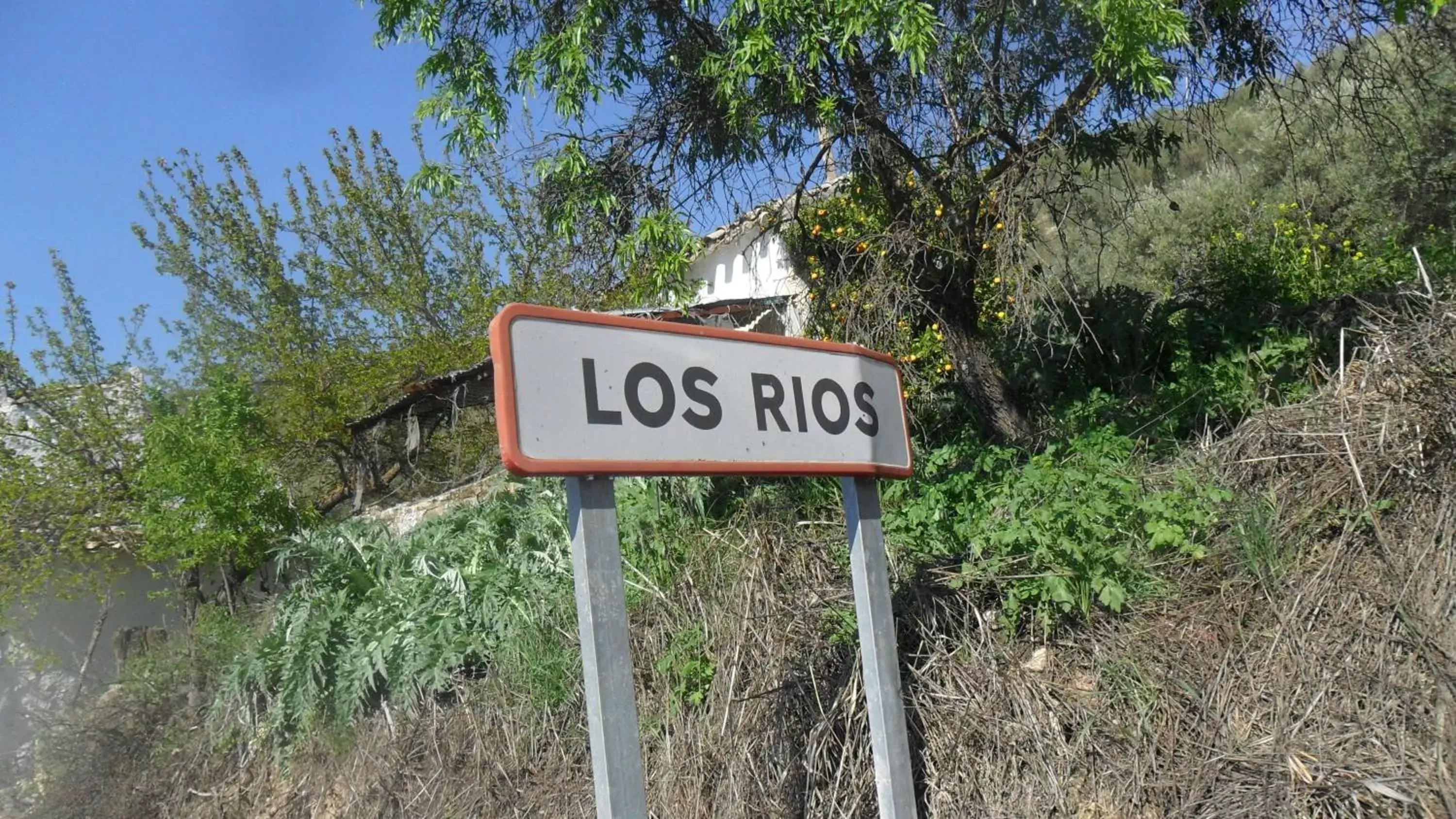 Neighbourhood in Casa La Rosa