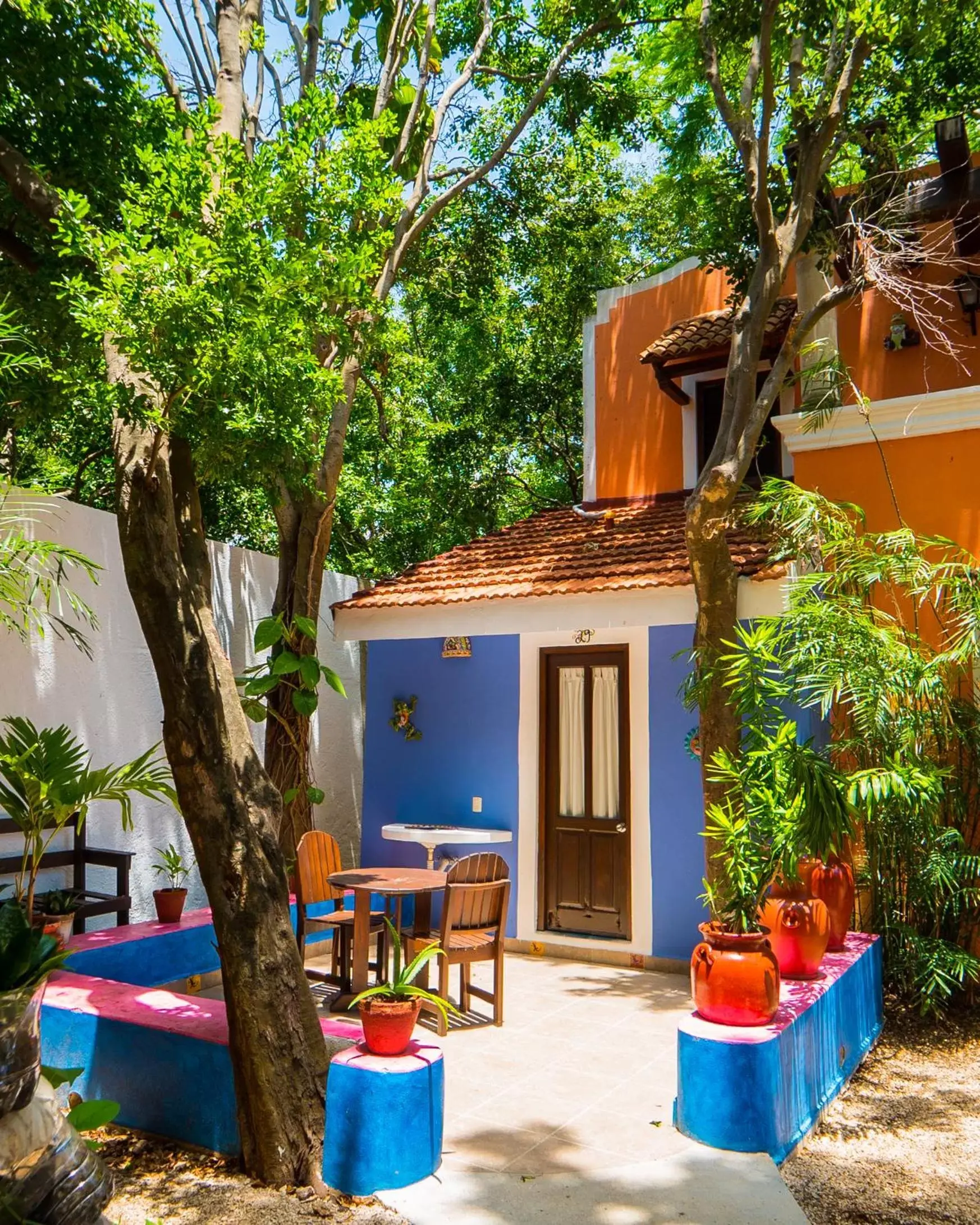 Garden, Property Building in Hotel Casa de las Flores