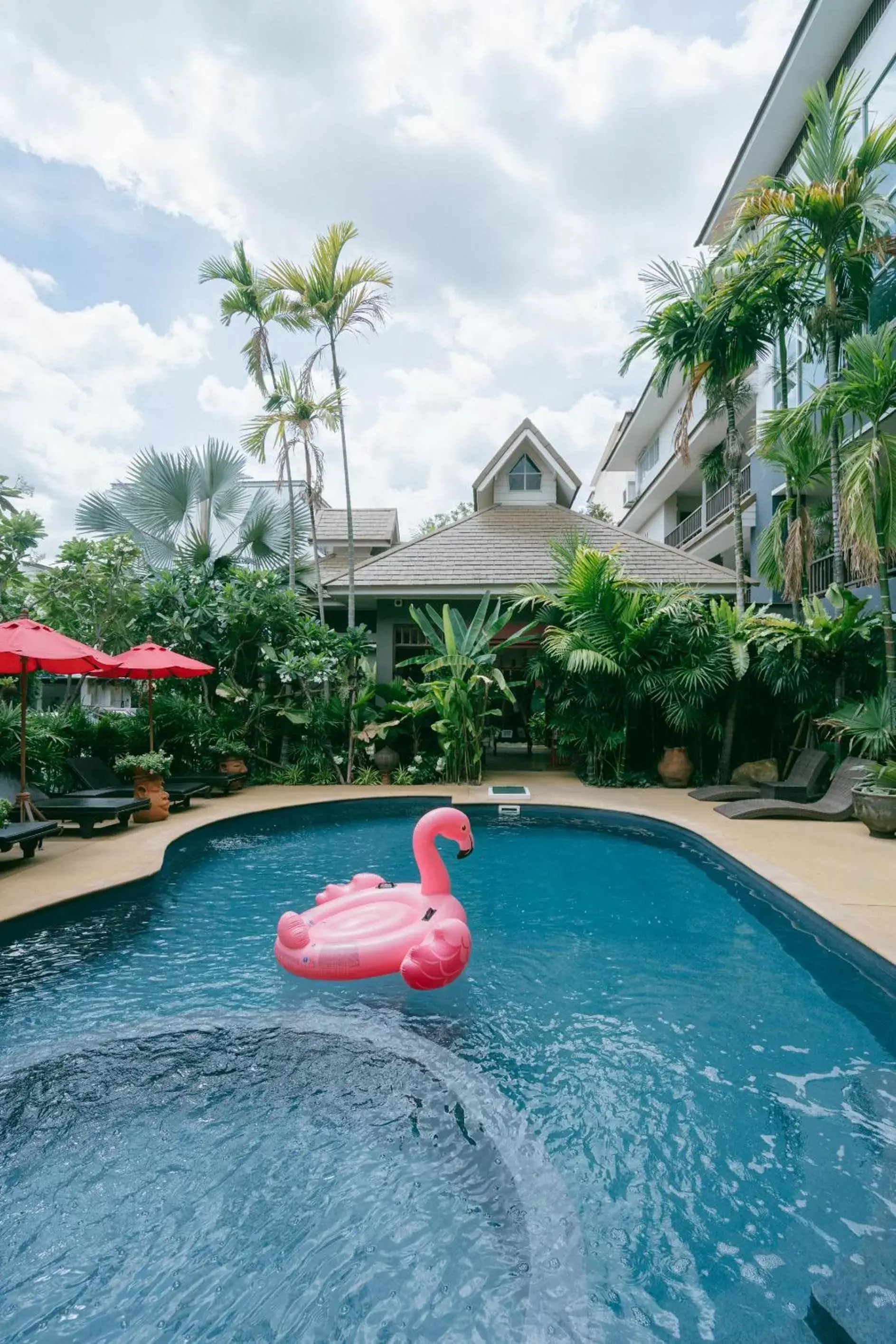 Natural landscape, Swimming Pool in The Opium Chiang Mai