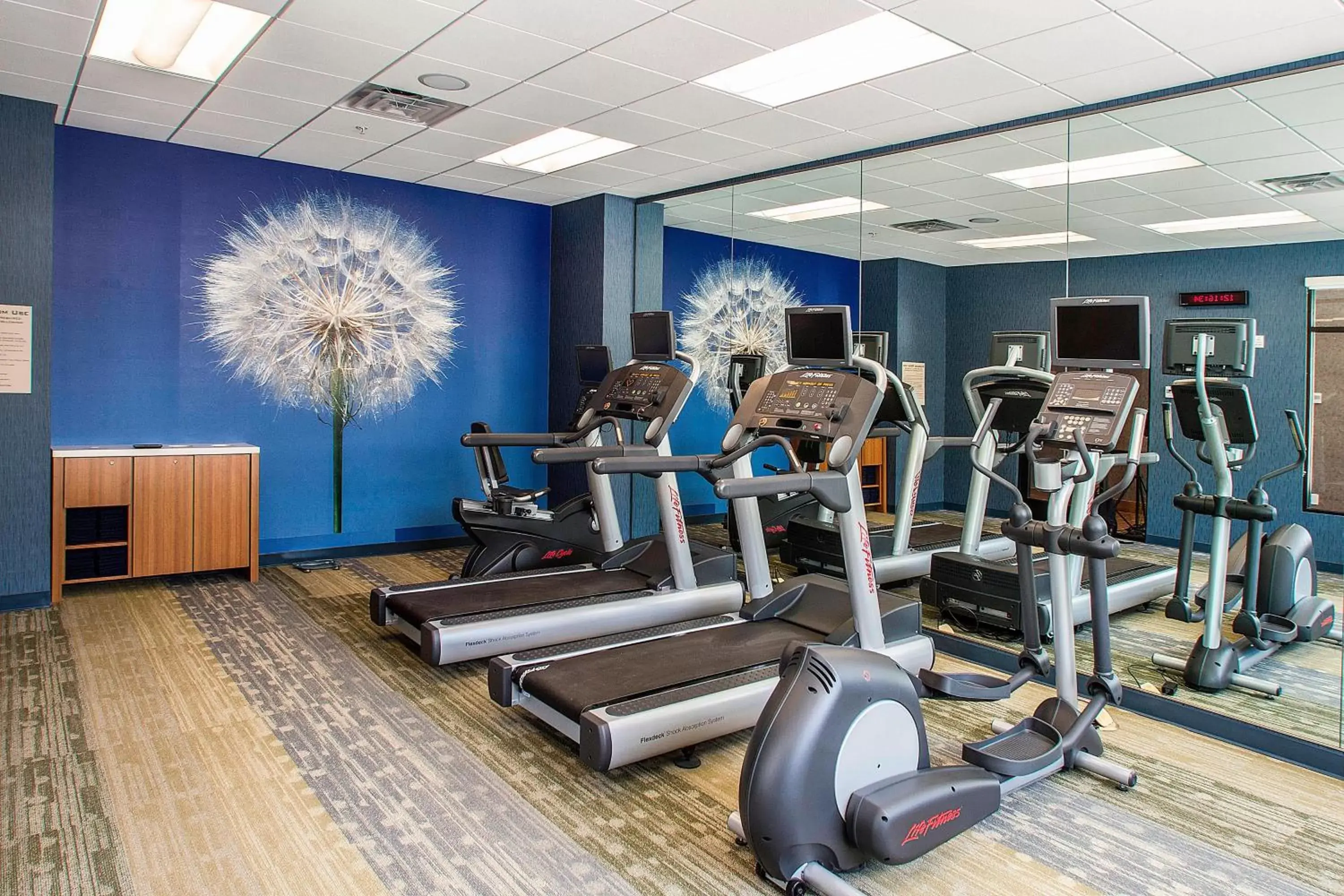 Fitness centre/facilities, Fitness Center/Facilities in SpringHill Suites by Marriott Deadwood