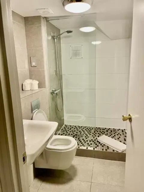 Shower, Bathroom in The Diamond Inn