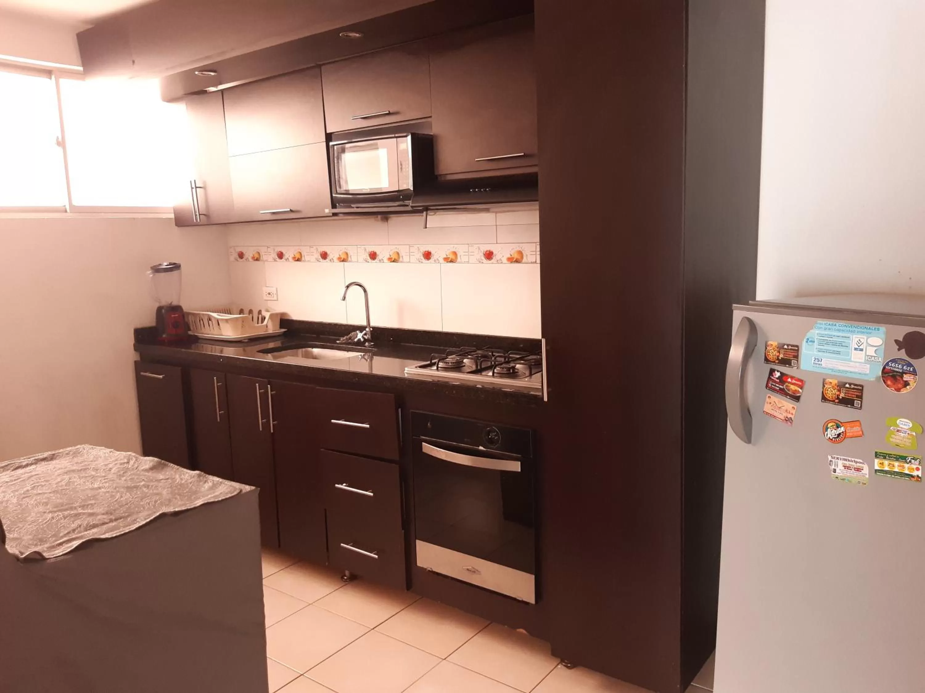 Kitchen or kitchenette in Apartamentos Plaza Modelia