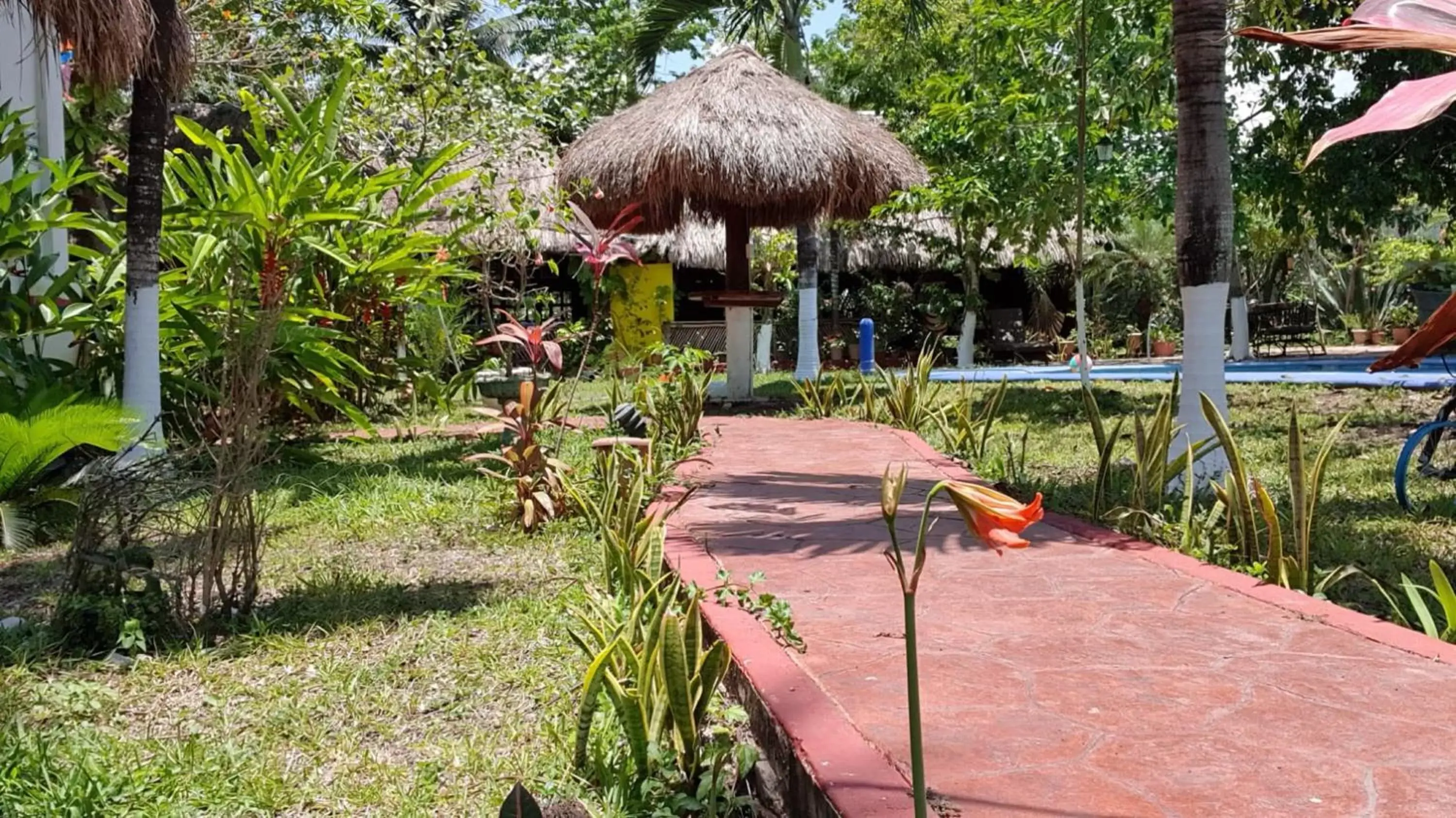 Spring in Cabañas Colibrí