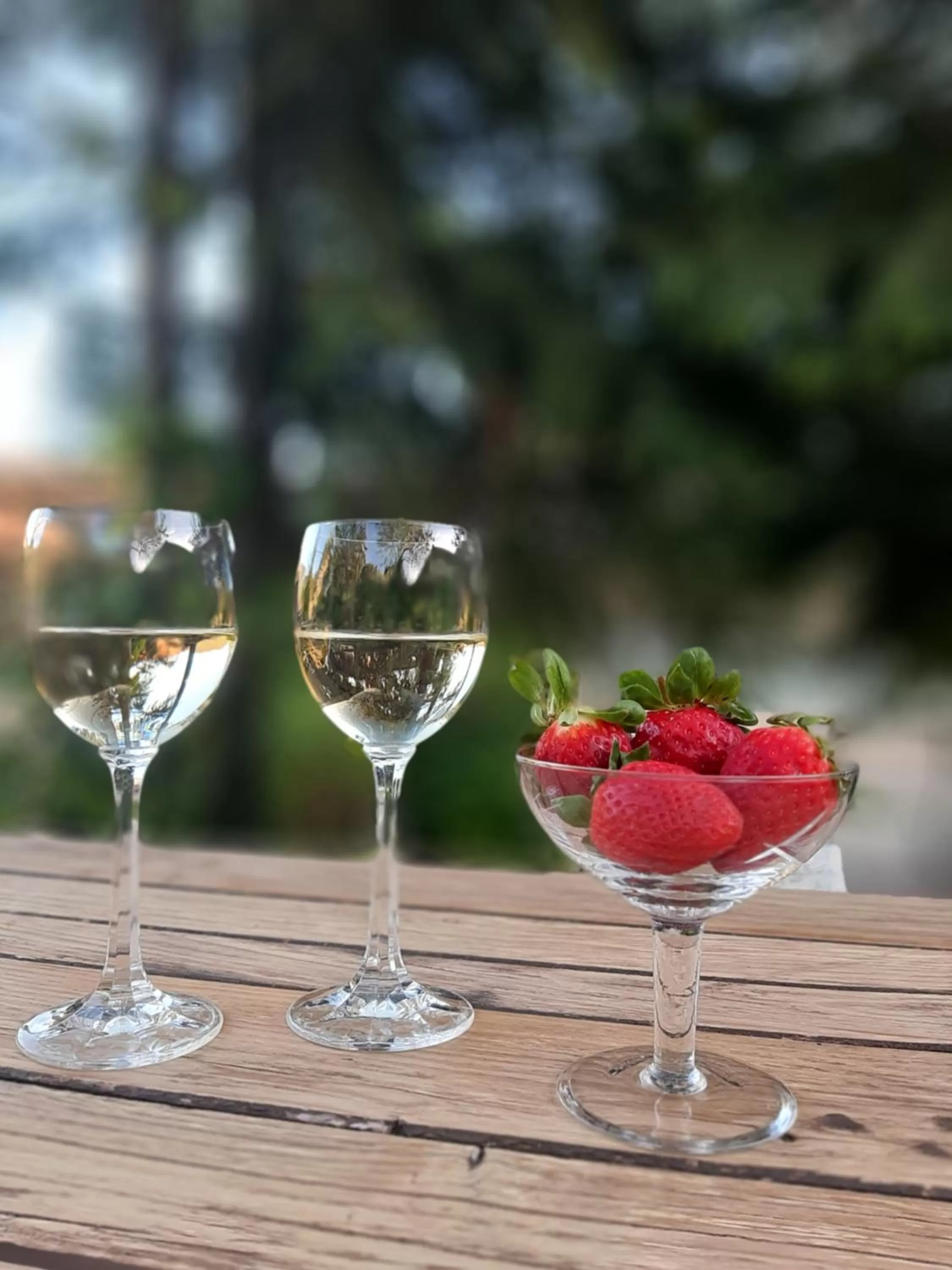 Garden in B&B degli Allori