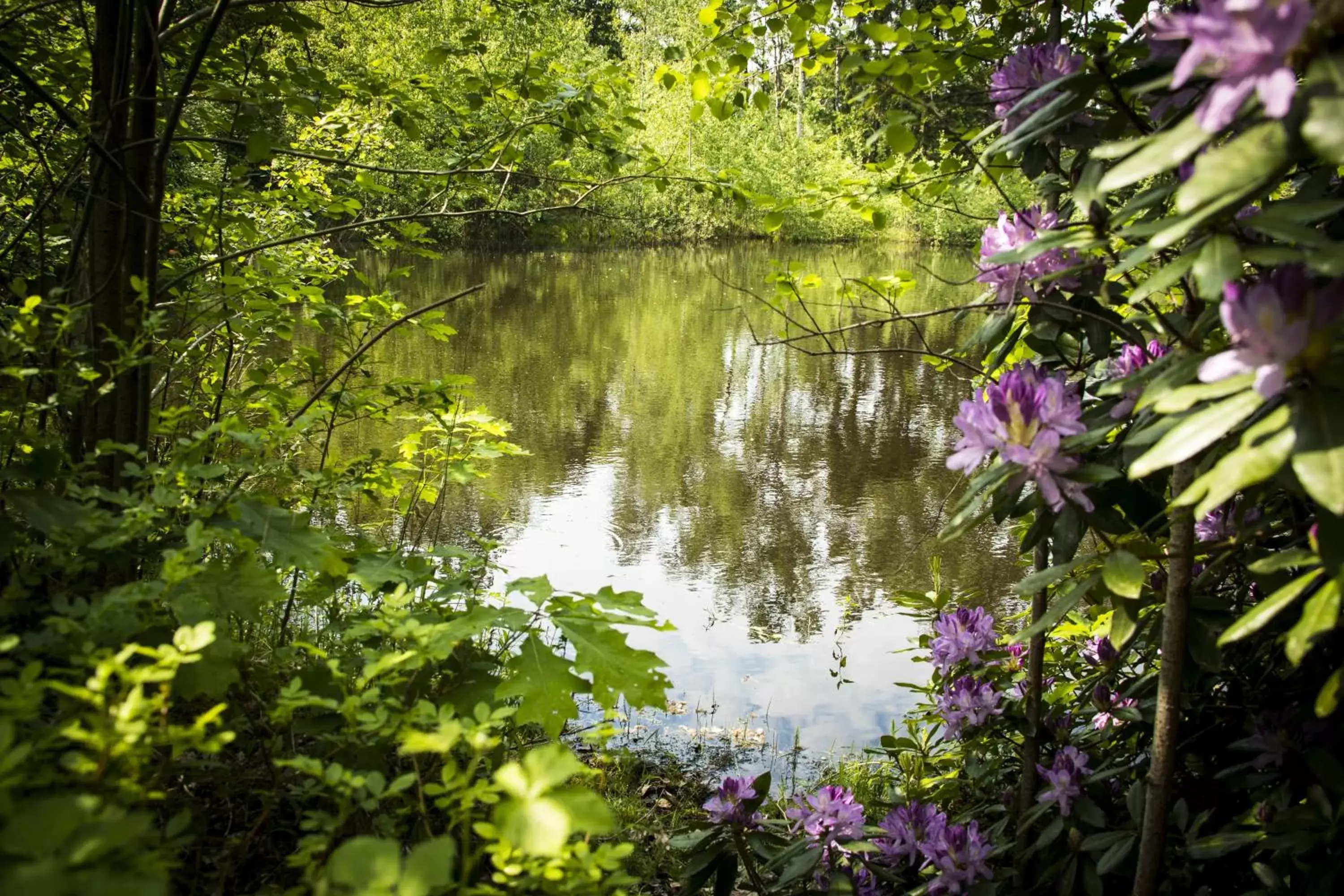 Garden in De Guldenberg 's-Hertogenbosch Helvoirt