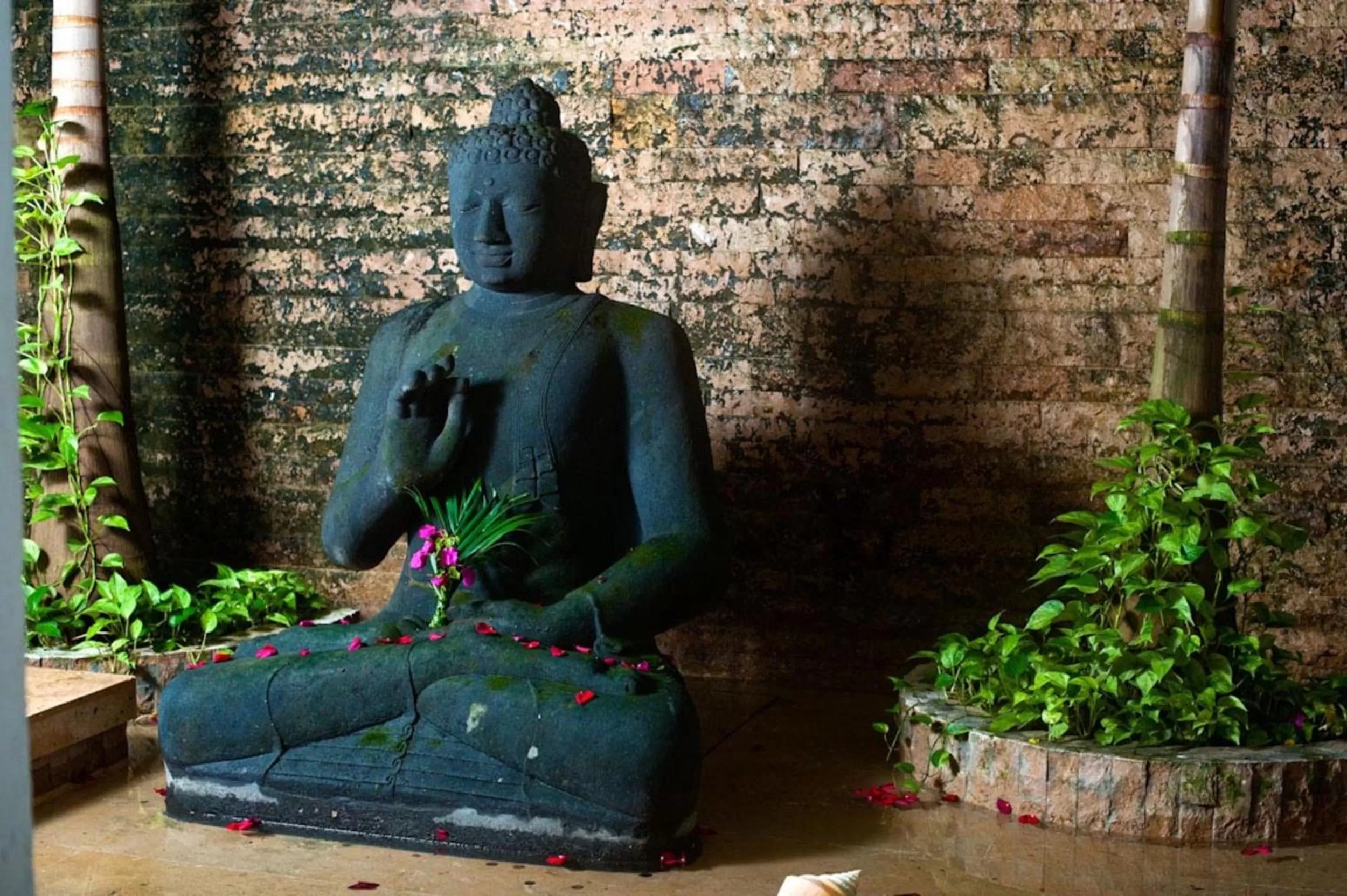 Patio in Hotel Aguamarina Boutique