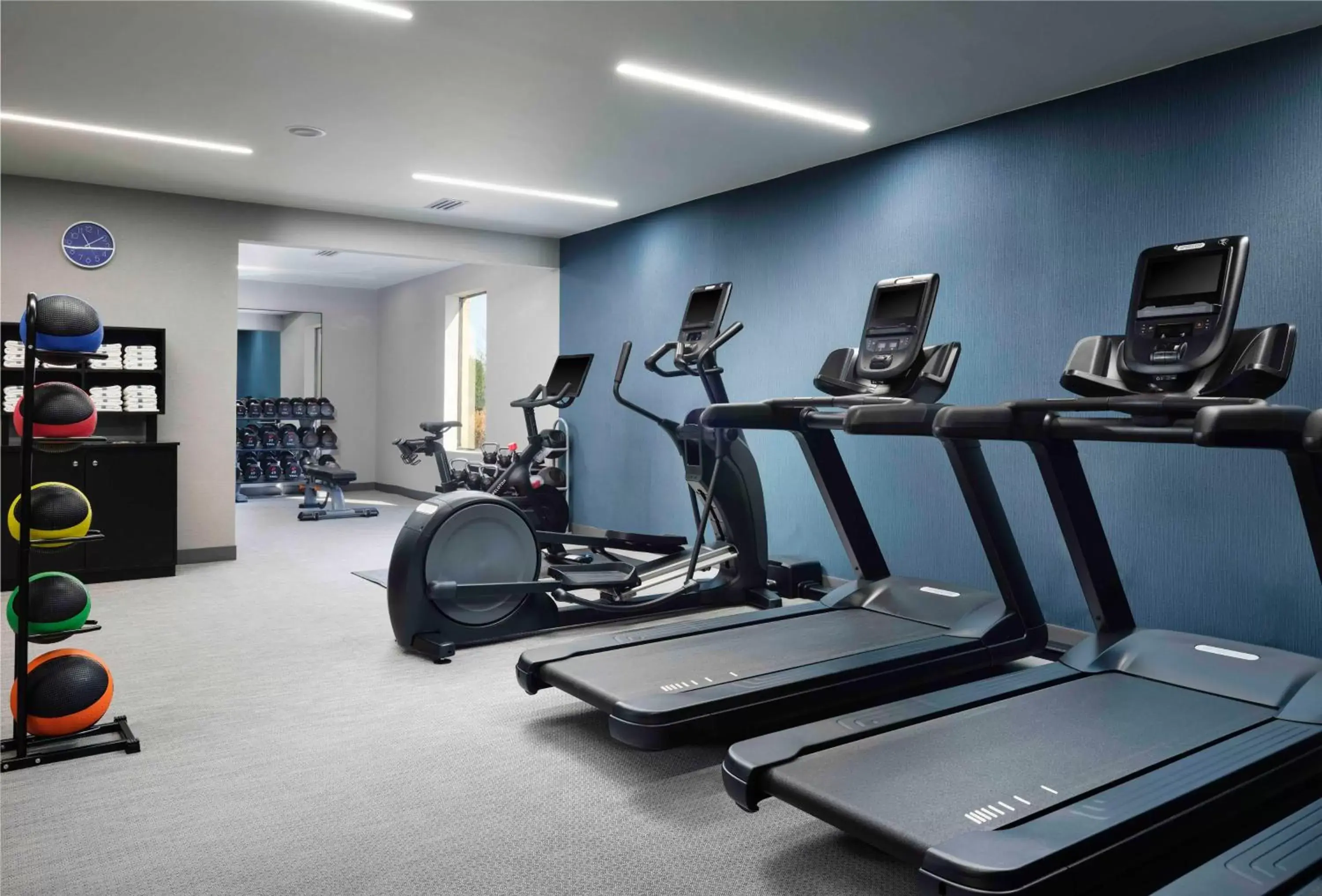Fitness centre/facilities, Fitness Center/Facilities in Hampton Inn & Suites Dallas-DFW Airport Hurst