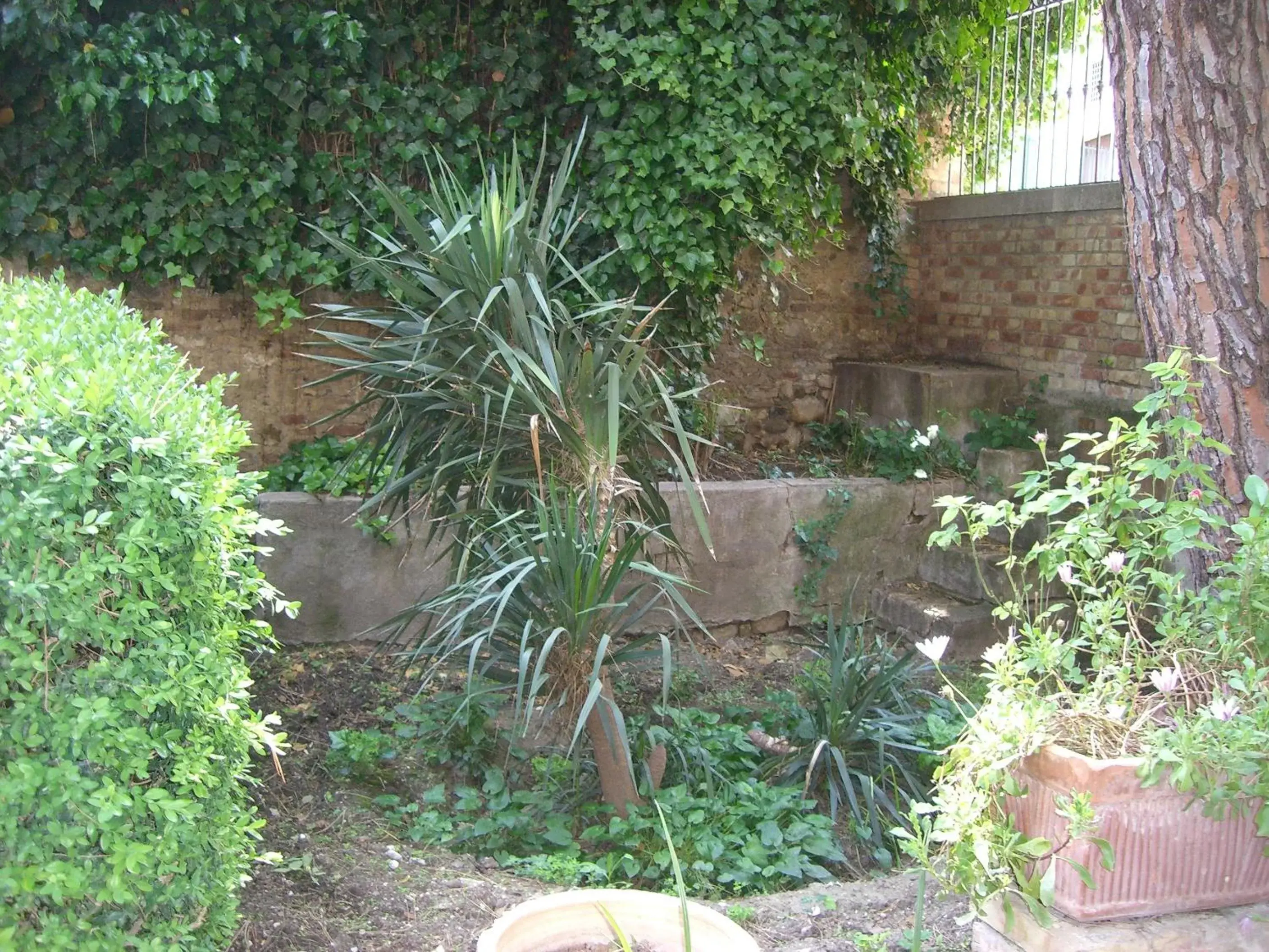 Garden in Villa Genny