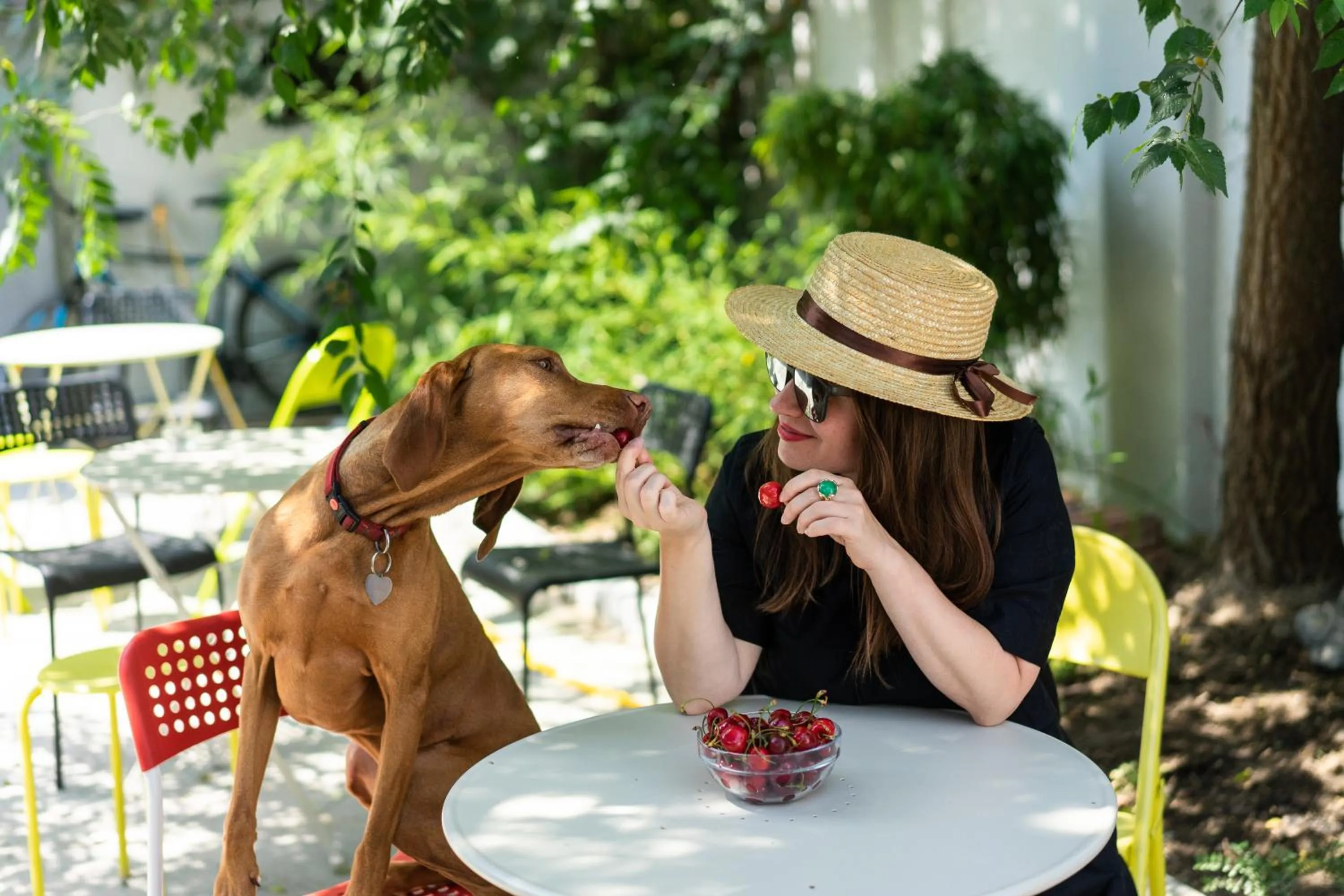 Patio in Good People Design Hostel