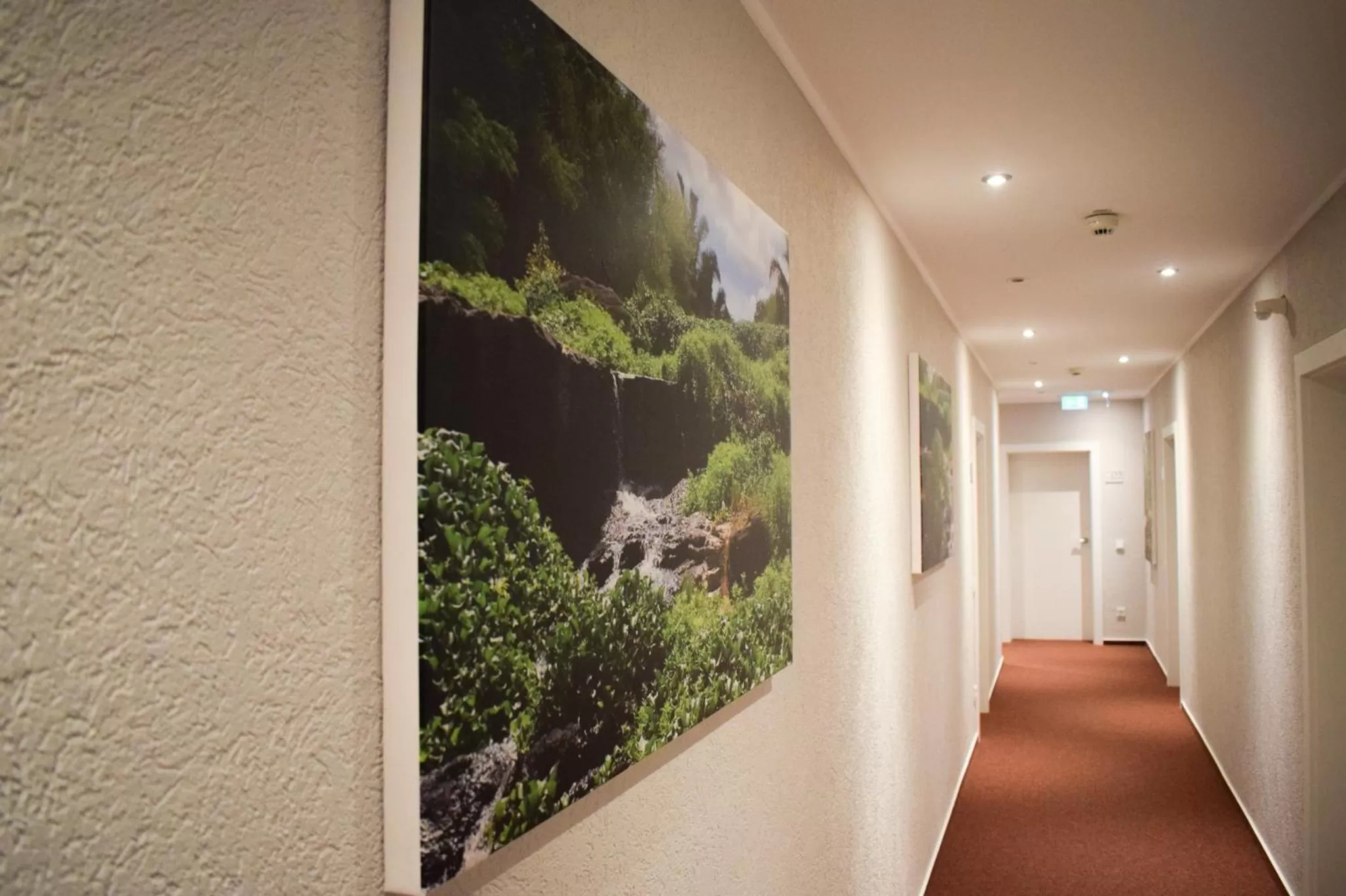 Area and facilities in Akzent Hotel Jonathan