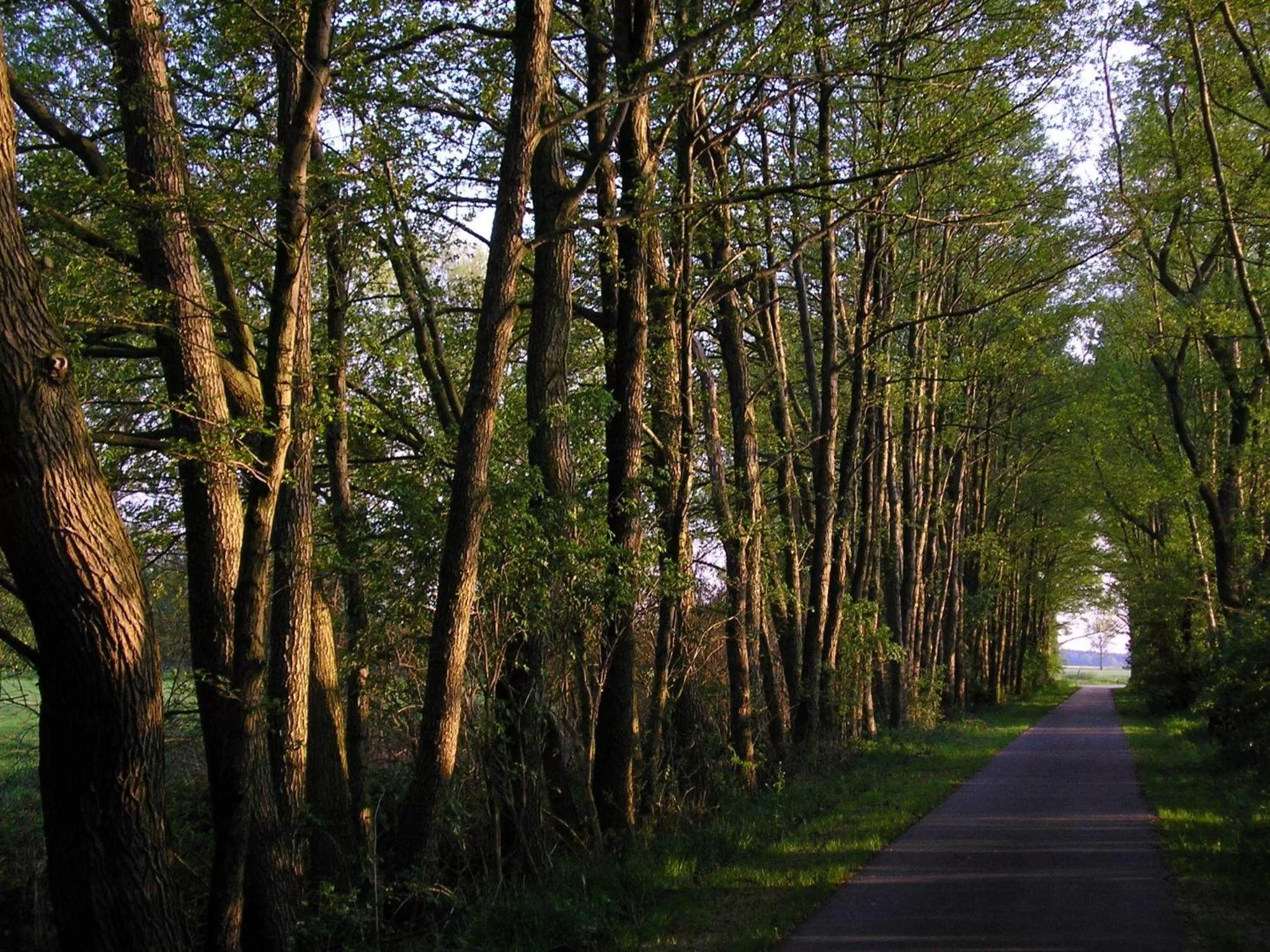 Other in Parkhotel Schönewalde