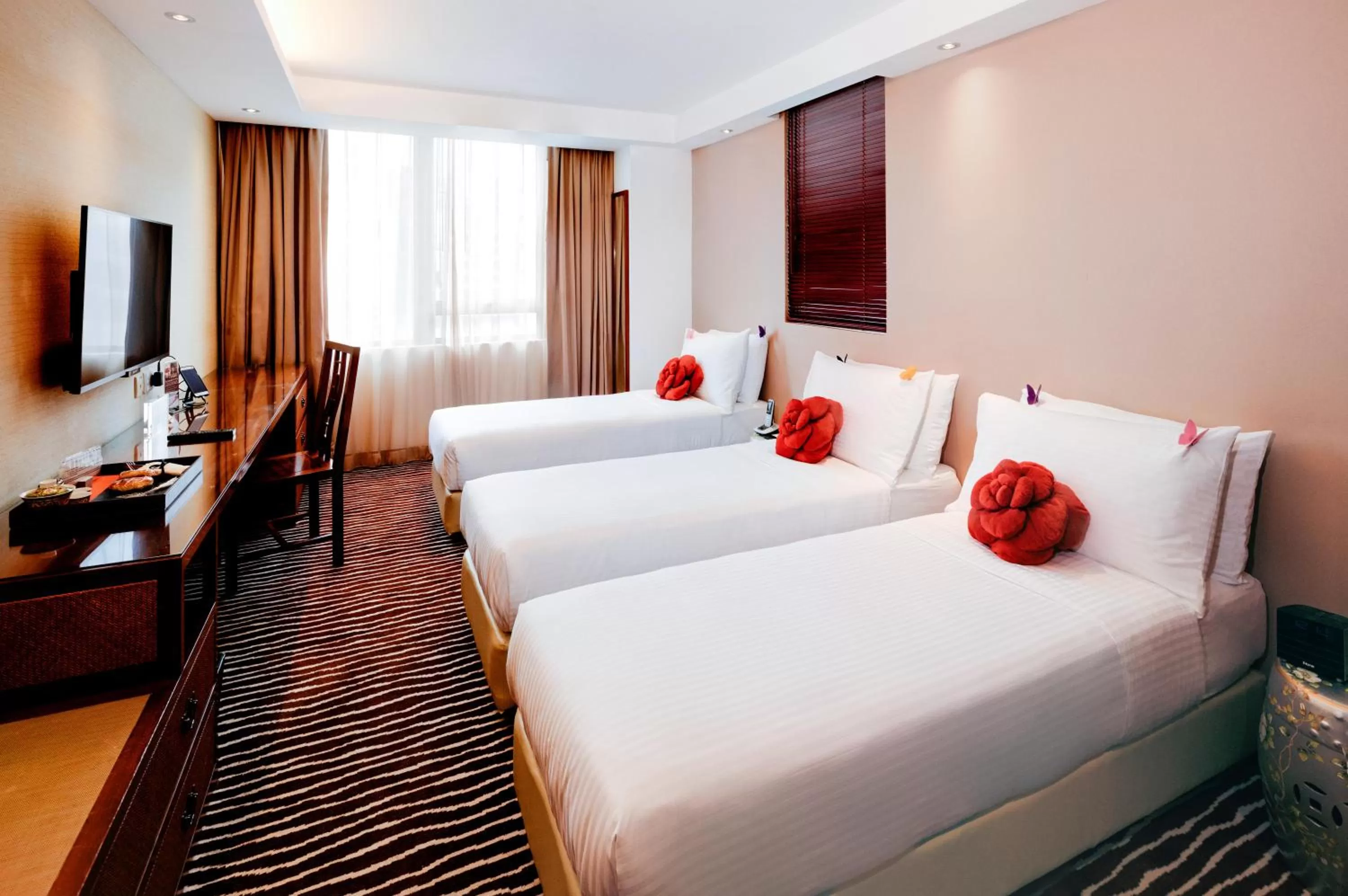 Living room, Bed in Butterfly on Wellington, Central