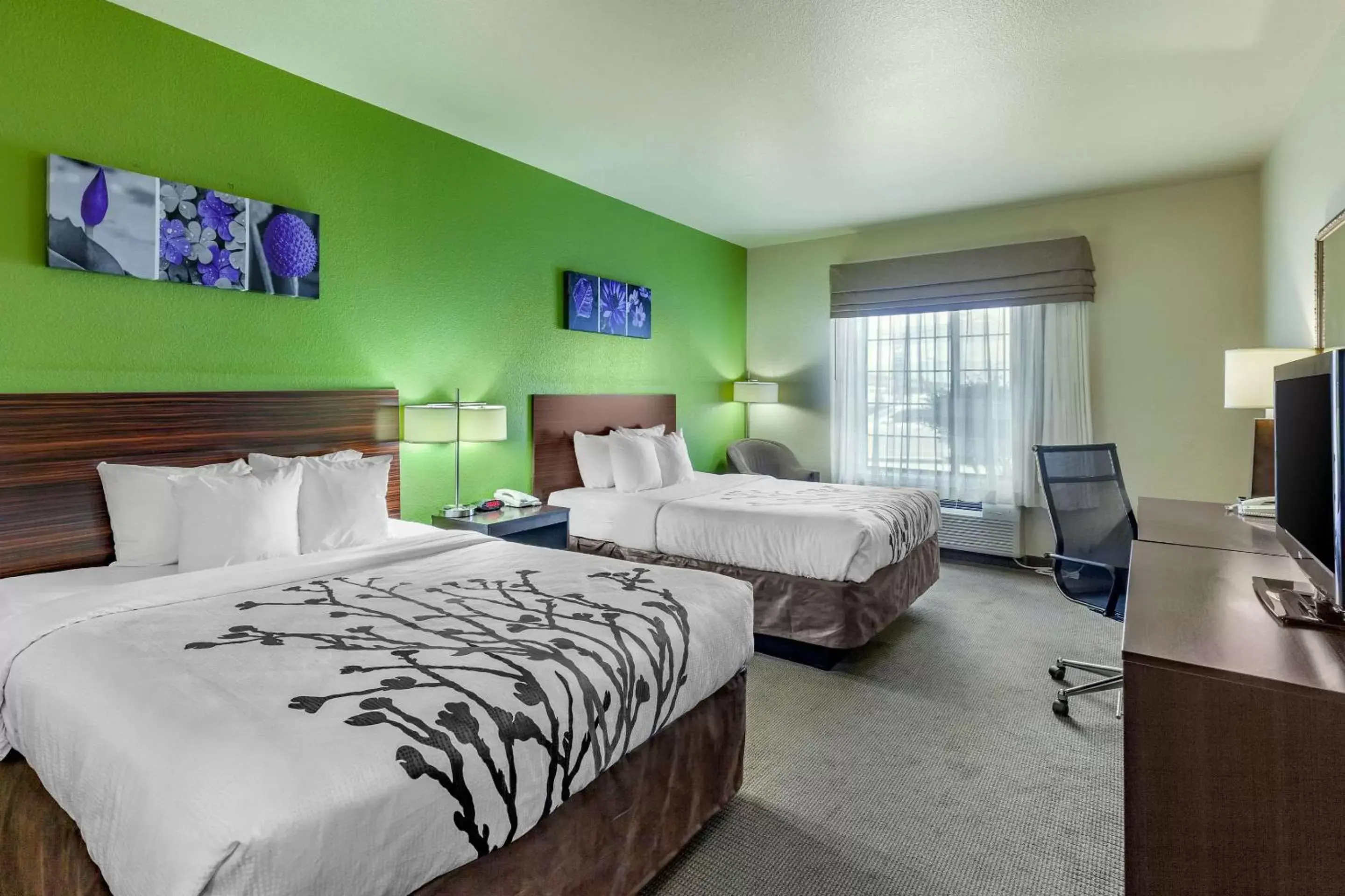 Photo of the whole room, Bed in Sleep Inn & Suites Hewitt - South Waco