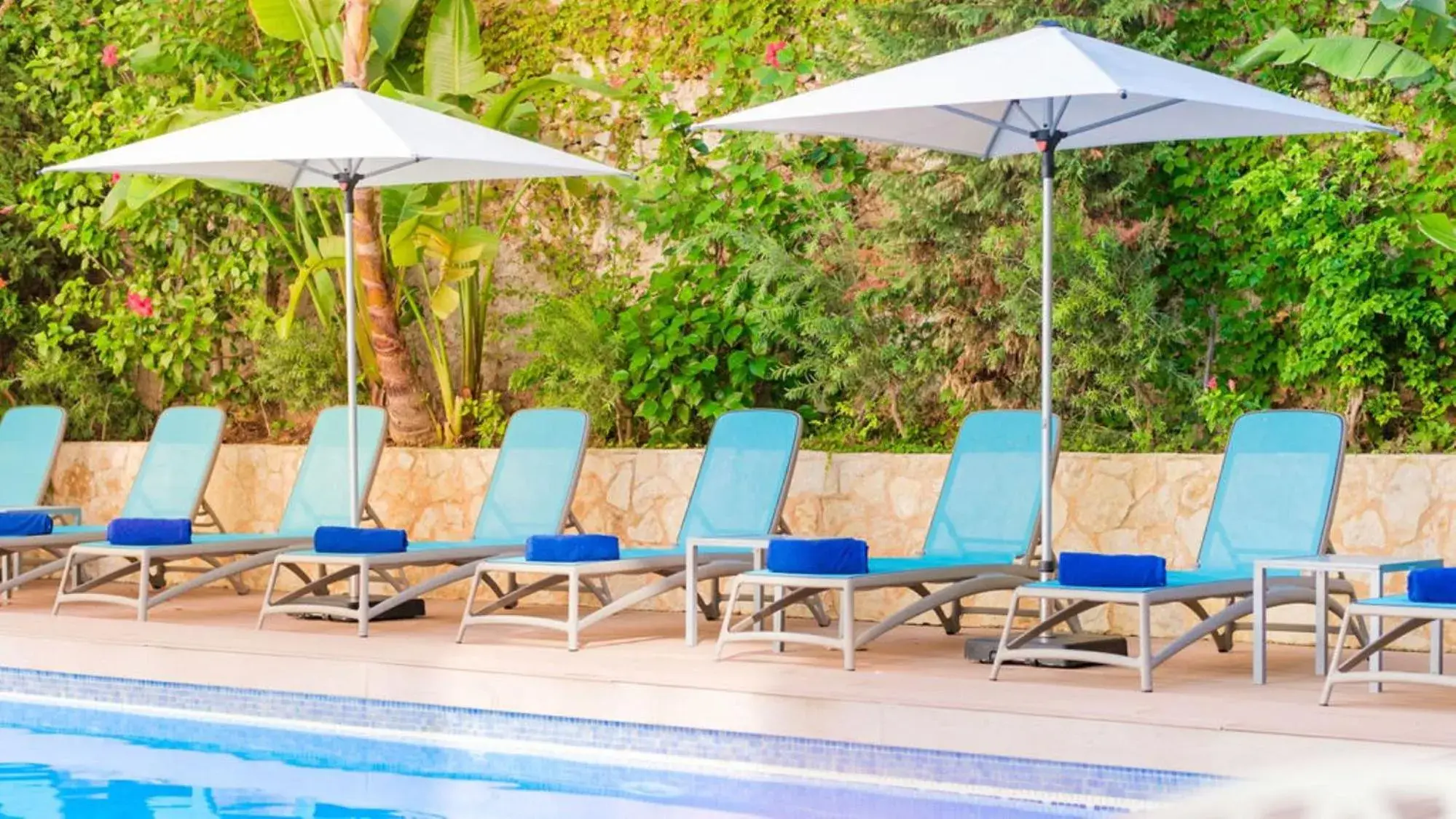 Garden, Swimming Pool in Hotel Agua Beach