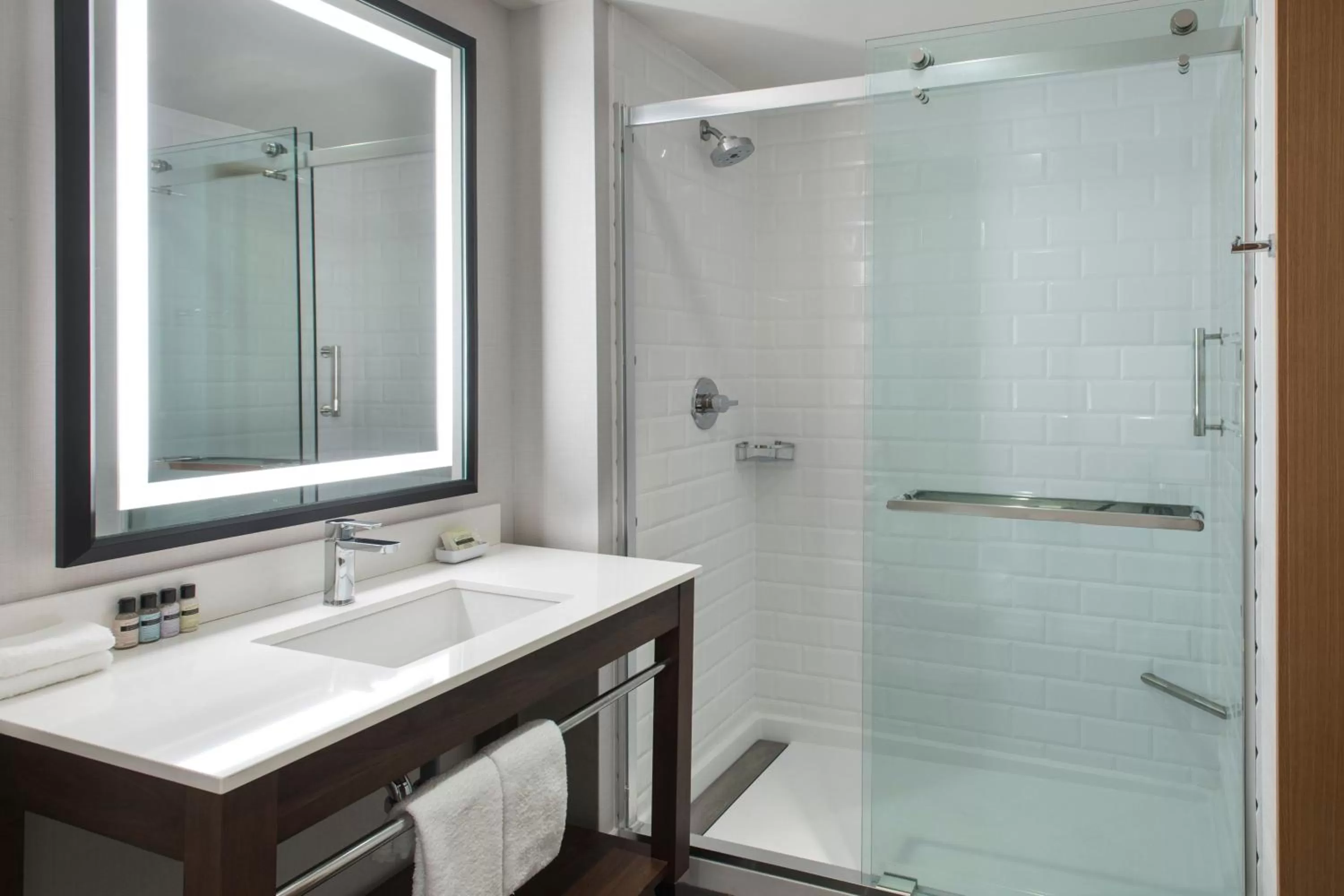 Bathroom in Four Points by Sheraton Albany