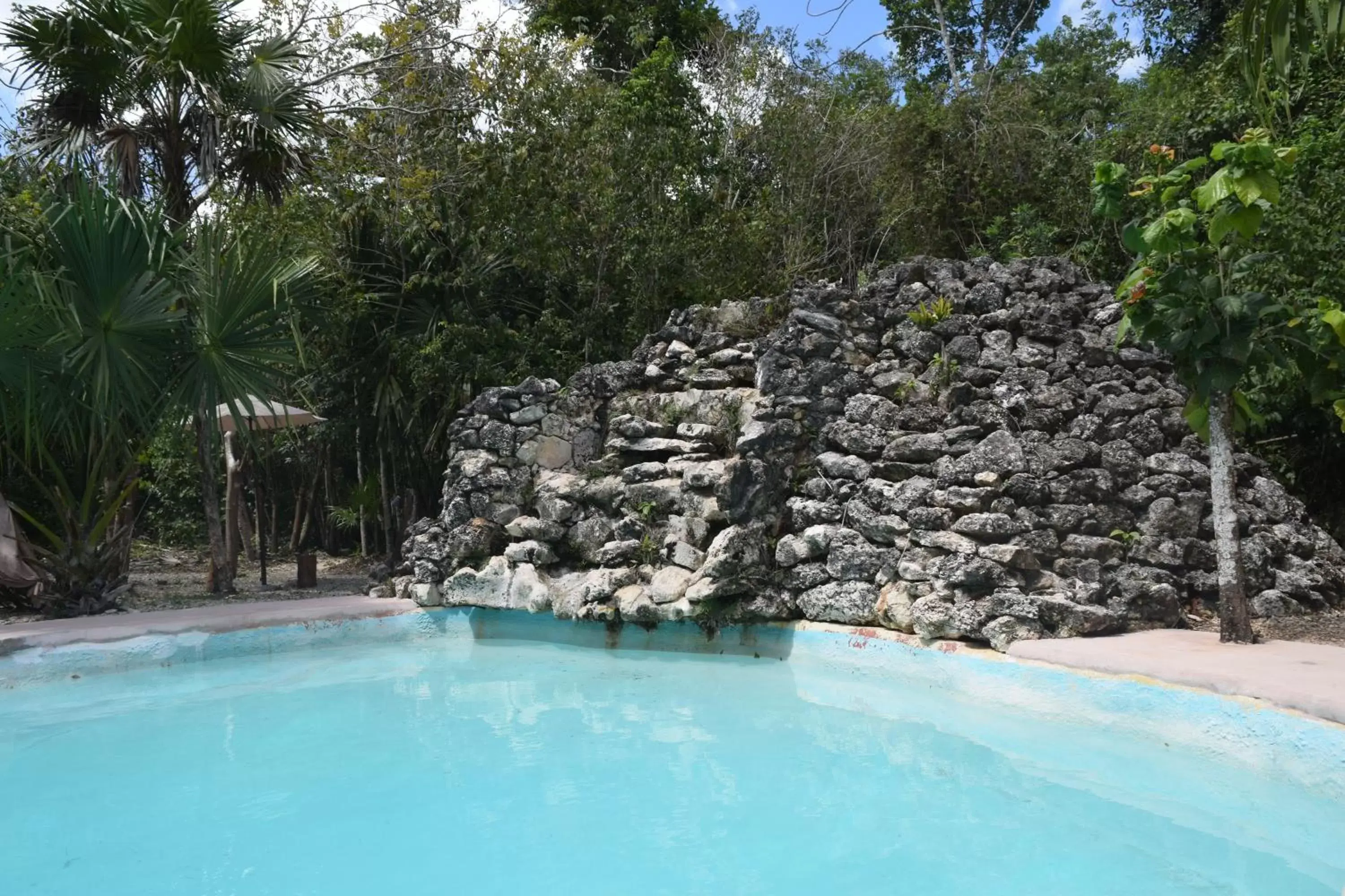 Natural landscape, Swimming Pool in Jolie Jungle Eco Hotel