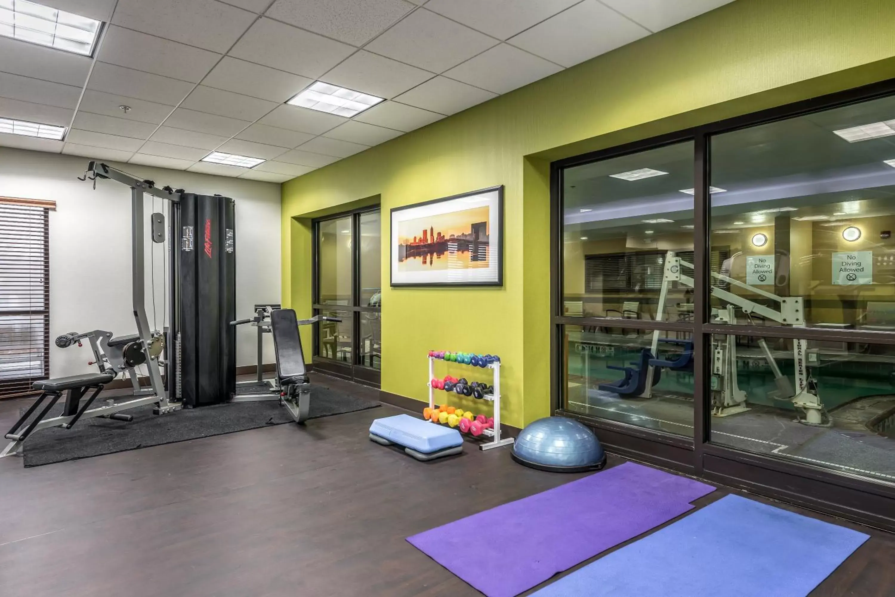 Fitness centre/facilities, Fitness Center/Facilities in Holiday Inn - Indianapolis Downtown, an IHG Hotel