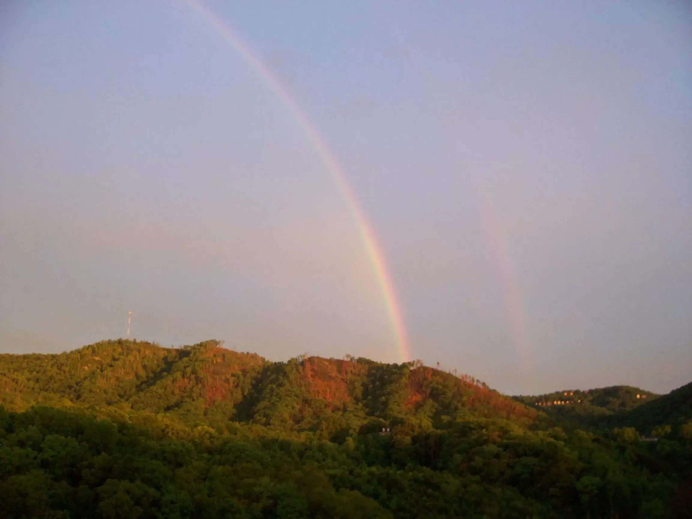 Mountain view, Natural Landscape in Berry Springs Lodge