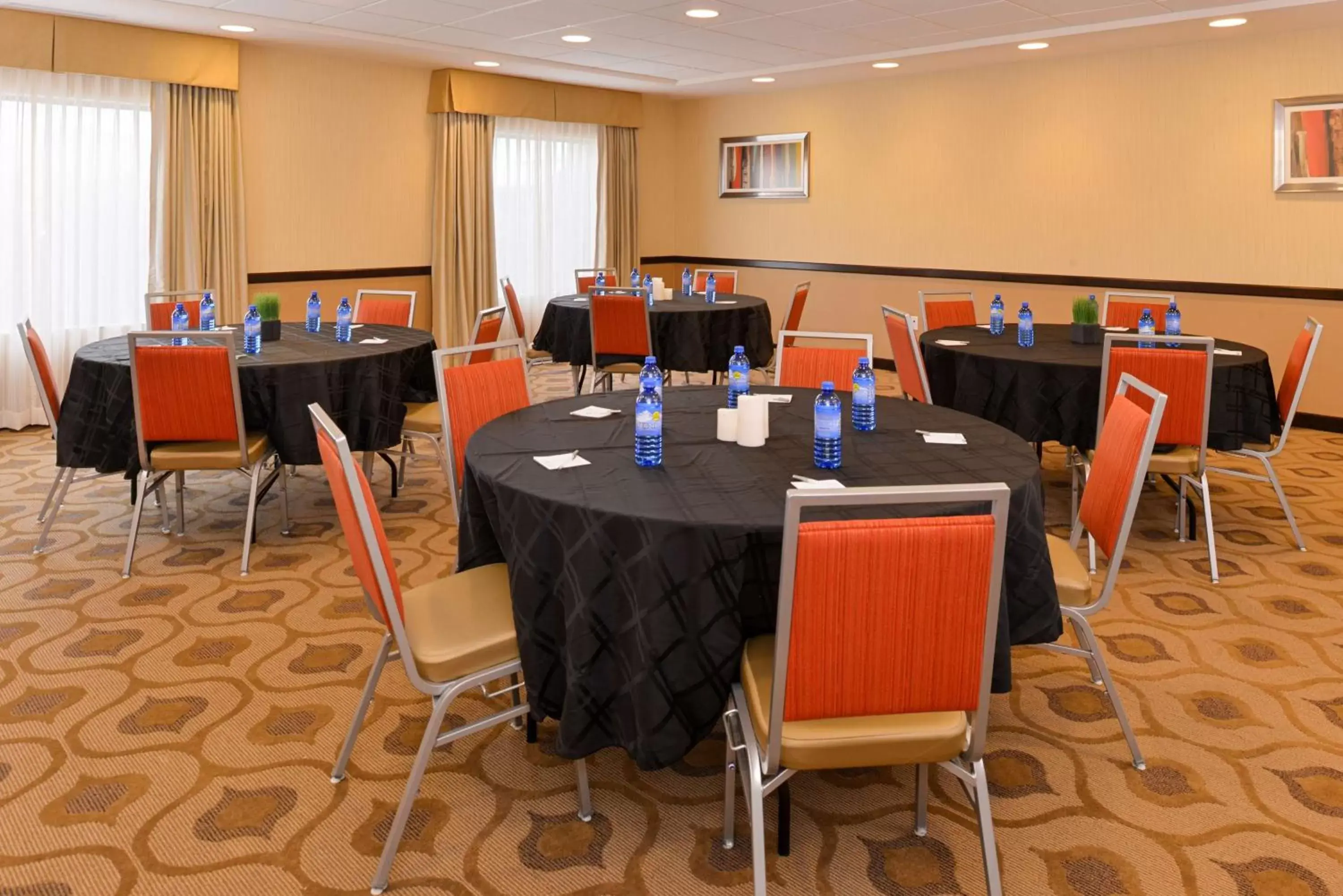 Meeting/conference room in Hampton Inn & Suites Douglas