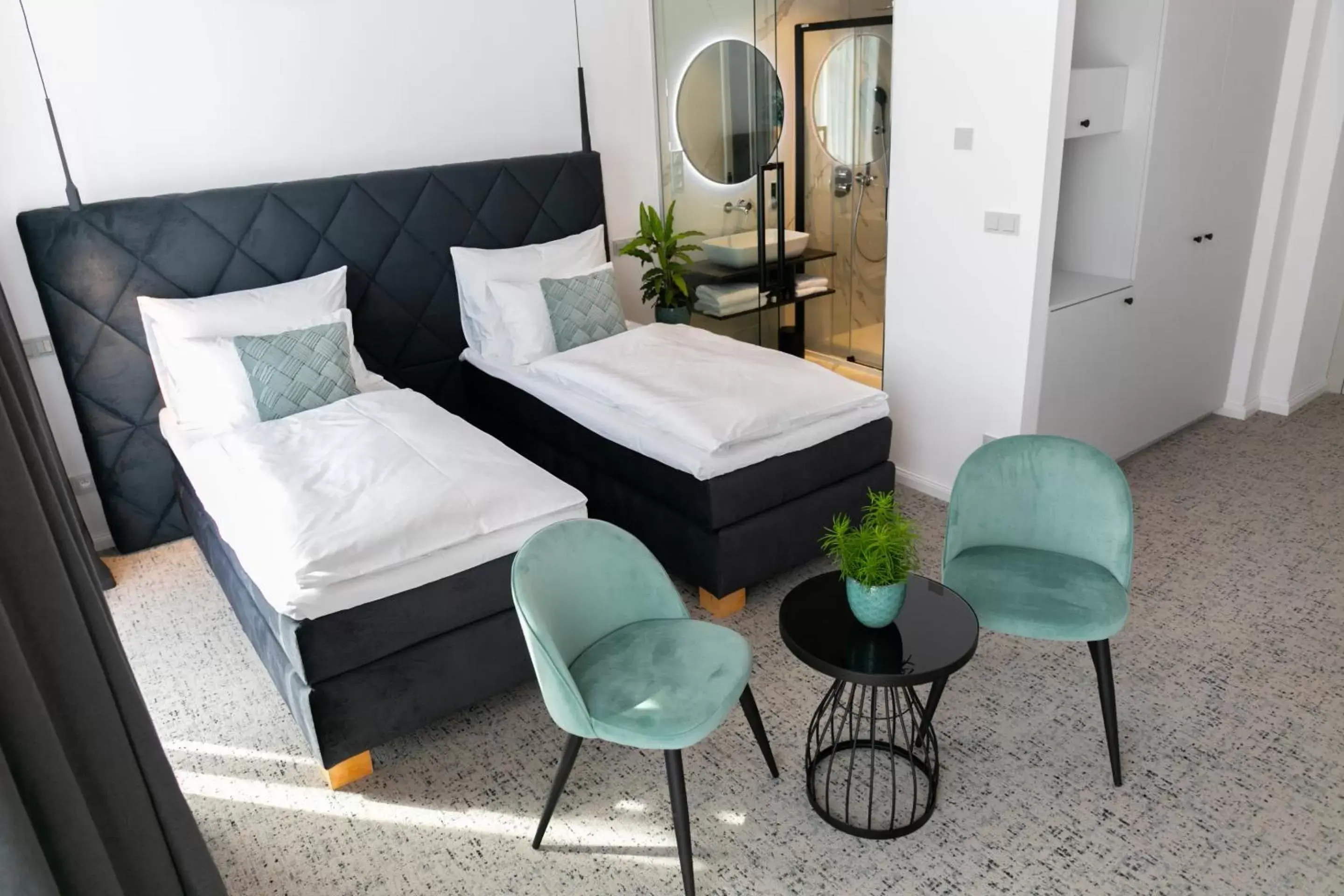 Deluxe Twin Room in Hotel Central Park Deluxe Twin Room in Hotel Central Park