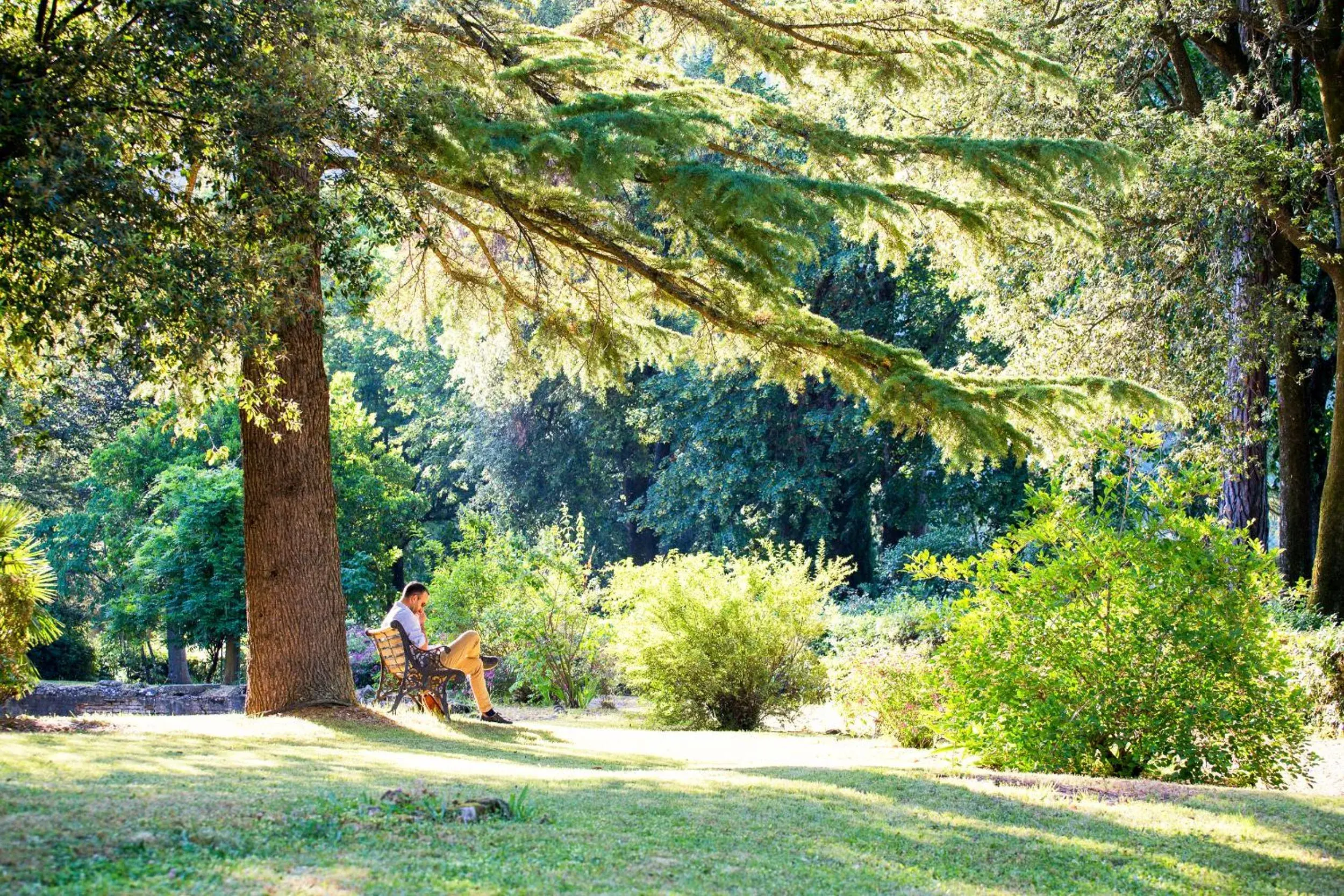 Garden in Villa Pitiana