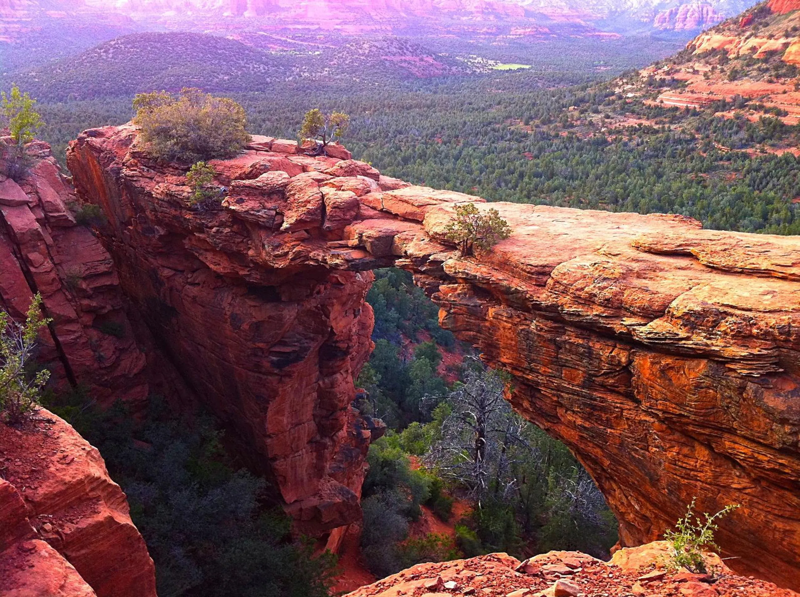Day in Baby Quail Inn