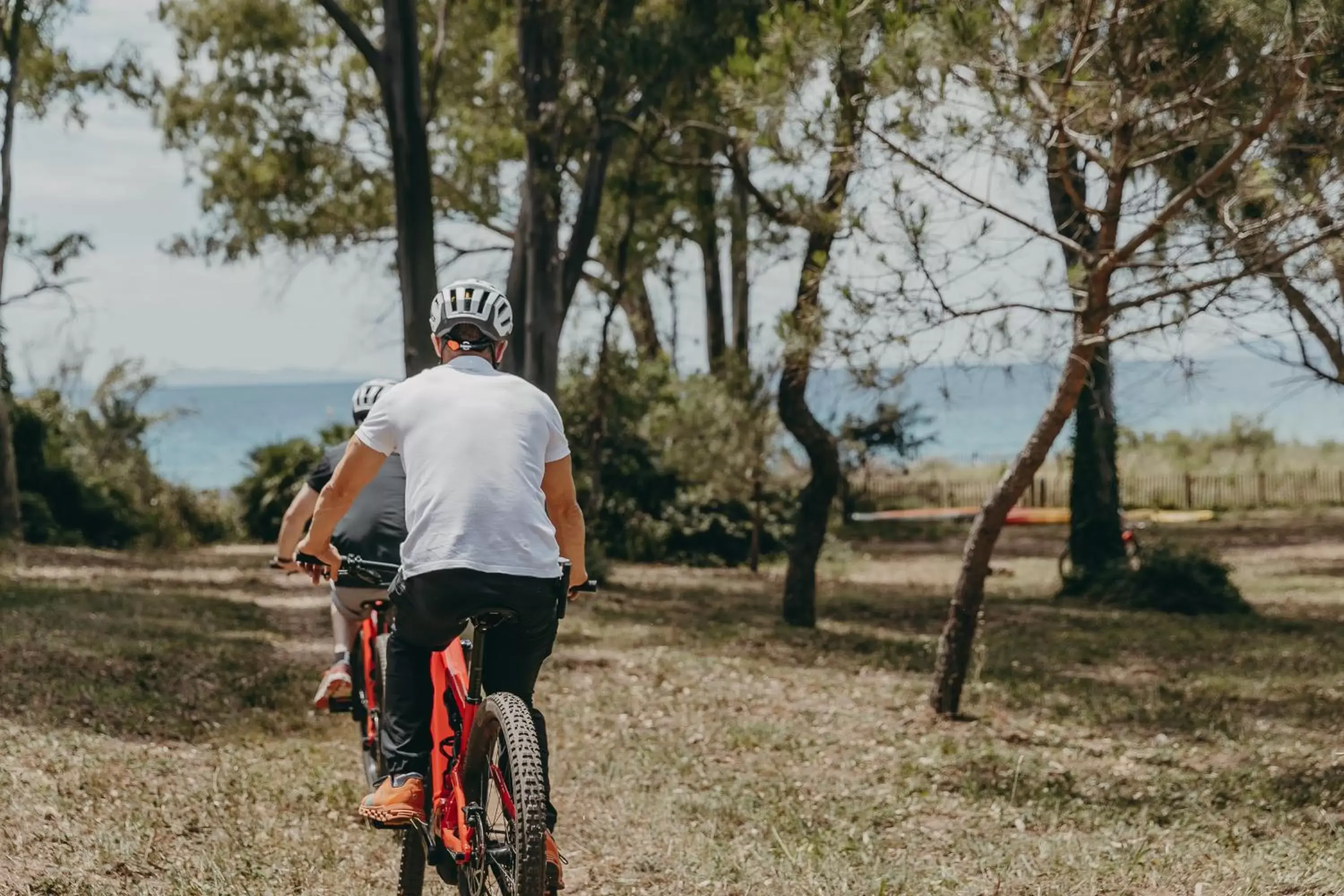 Cycling in Lily of the Valley