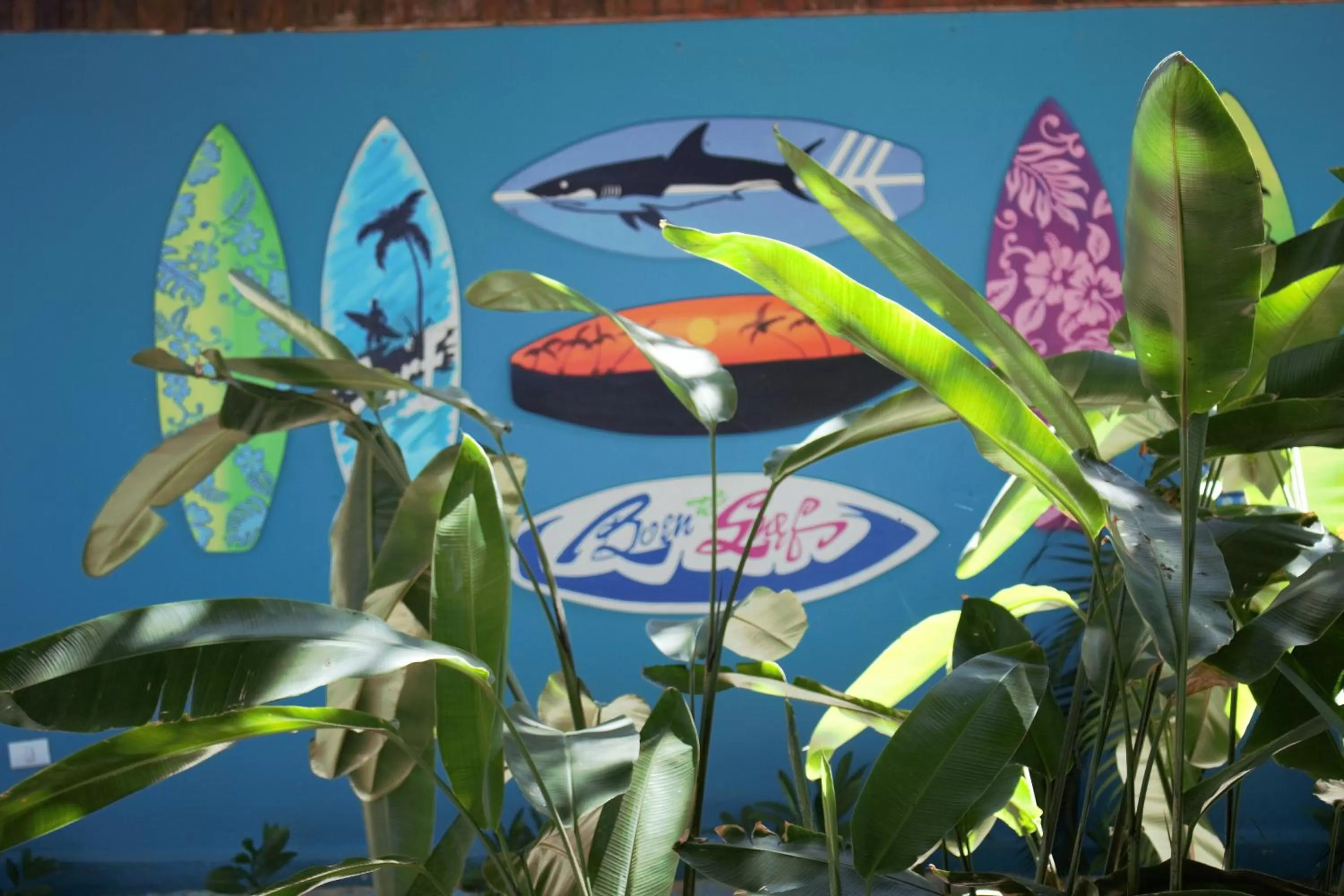 Beach Break Resort & CR Surf Camp