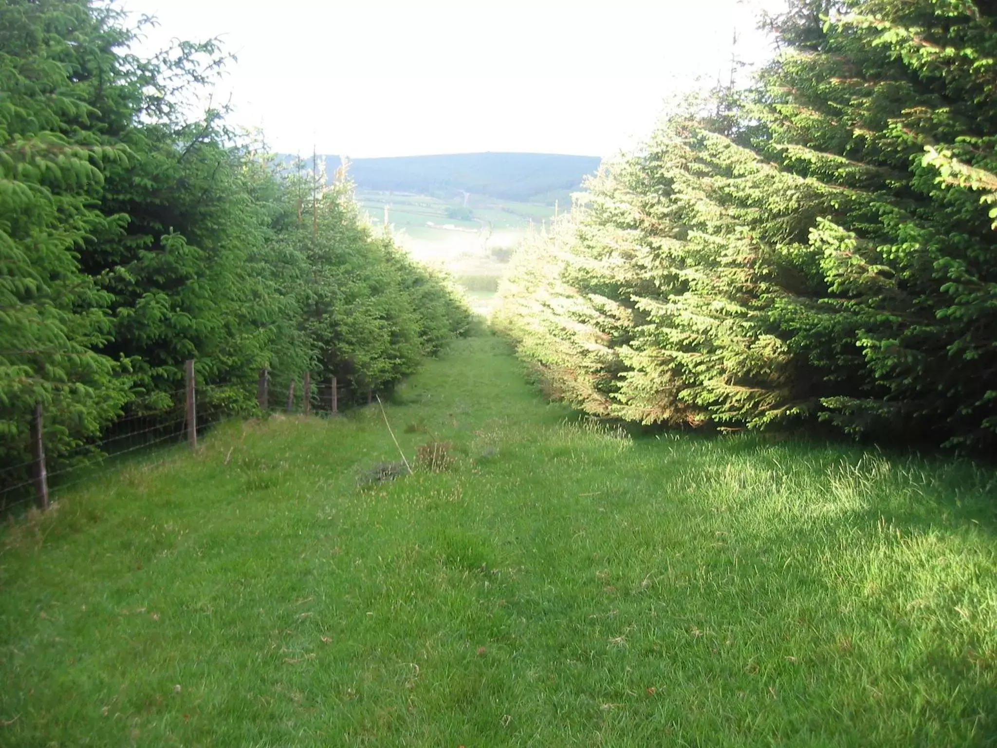 Natural landscape in The Dales