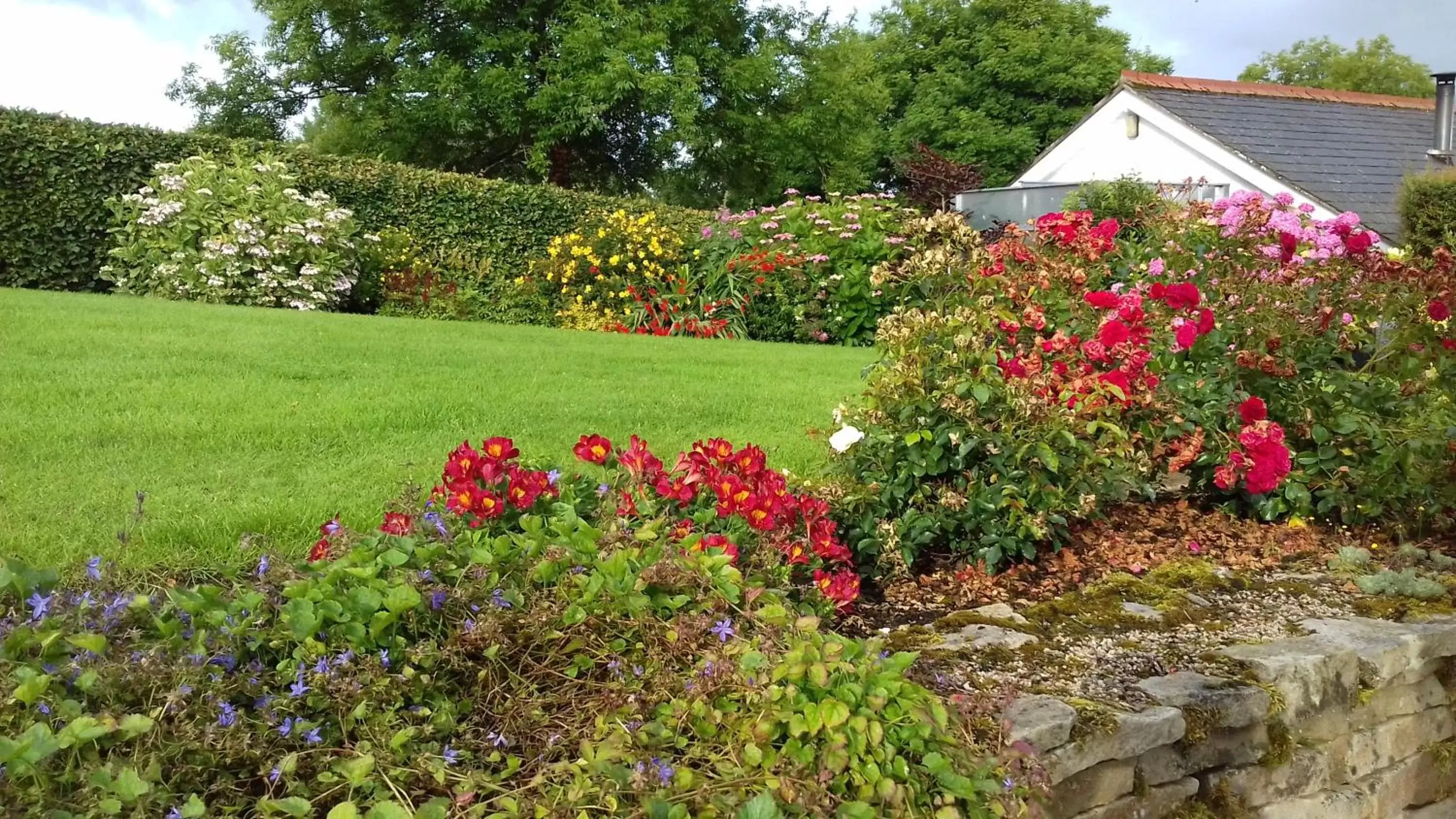 Garden view, Garden in Willowbank House