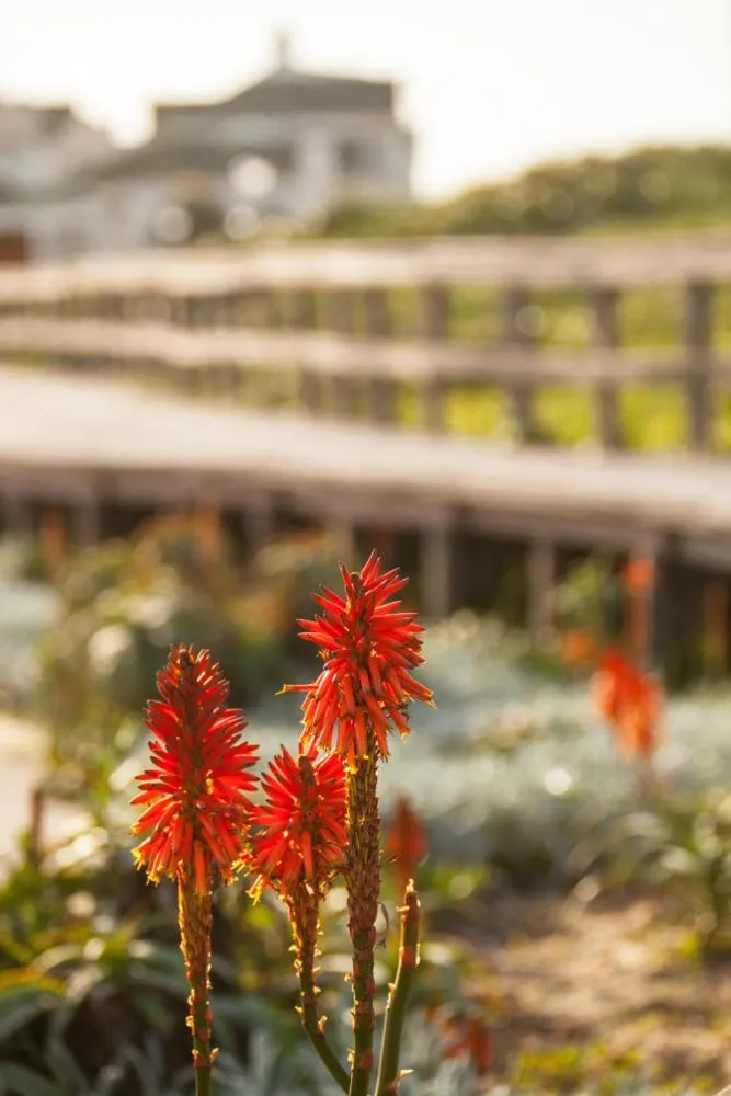 Area and facilities in Palm Beach Guesthouse