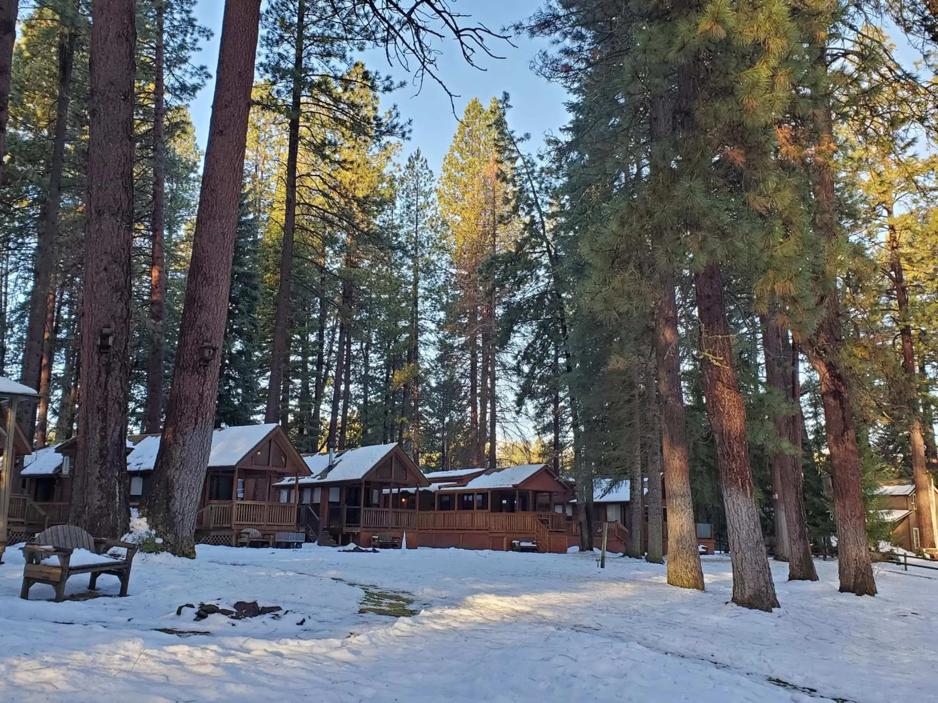 Property building, Winter in Cold Springs Resort