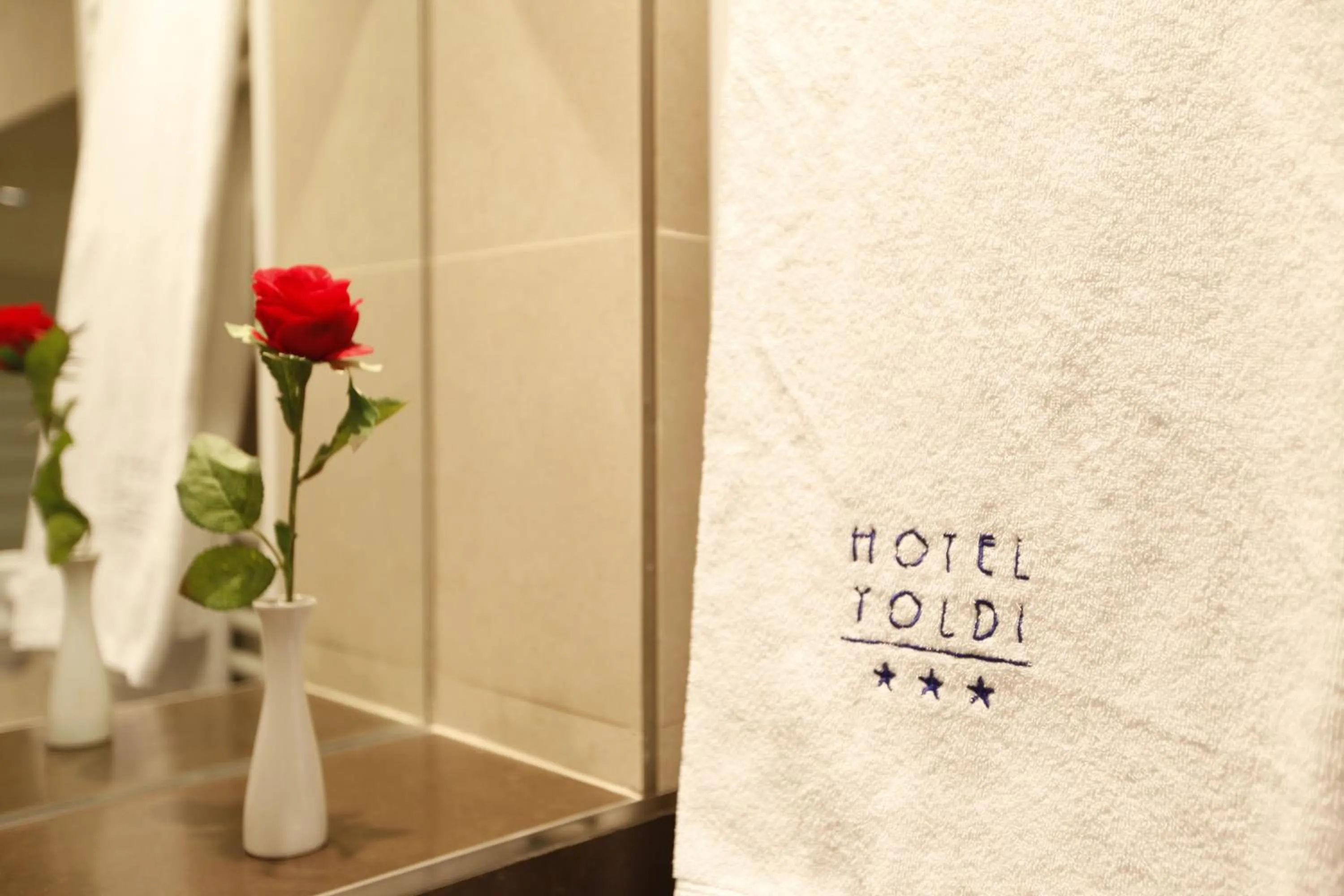 Decorative detail in Hotel Yoldi