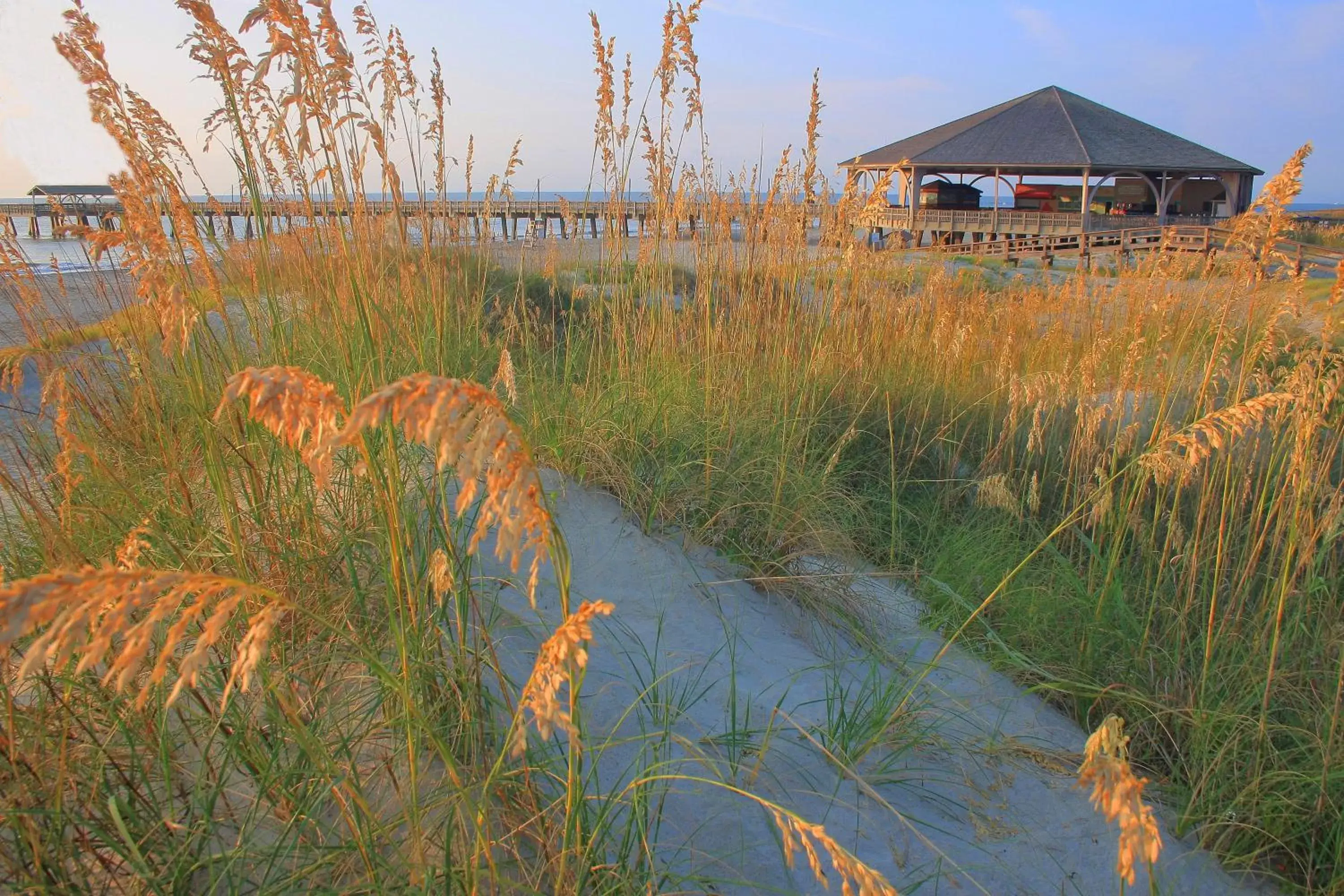 Nearby landmark in Hotel Tybee