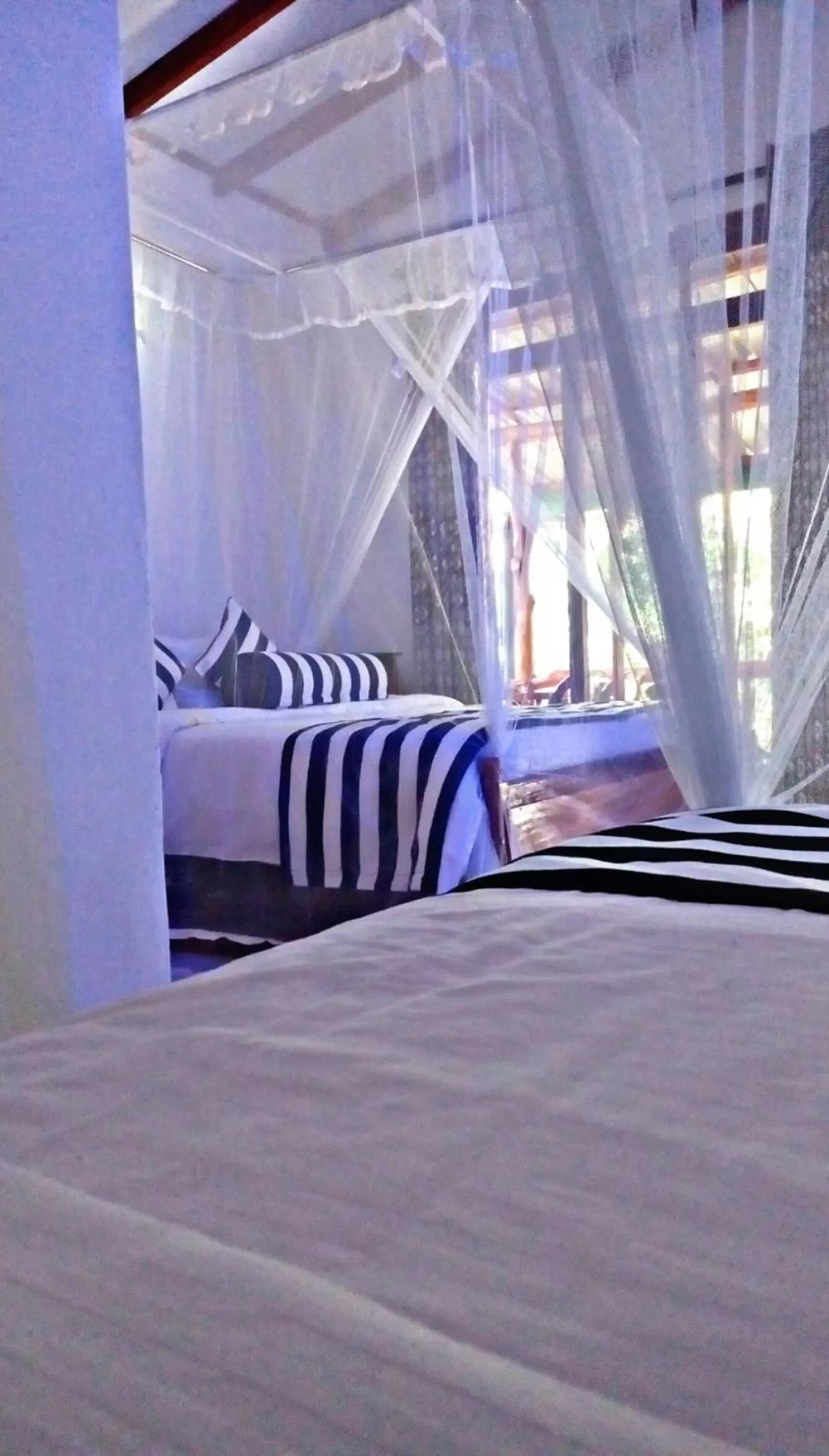 Bedroom, Bed in Cozy Home Stay