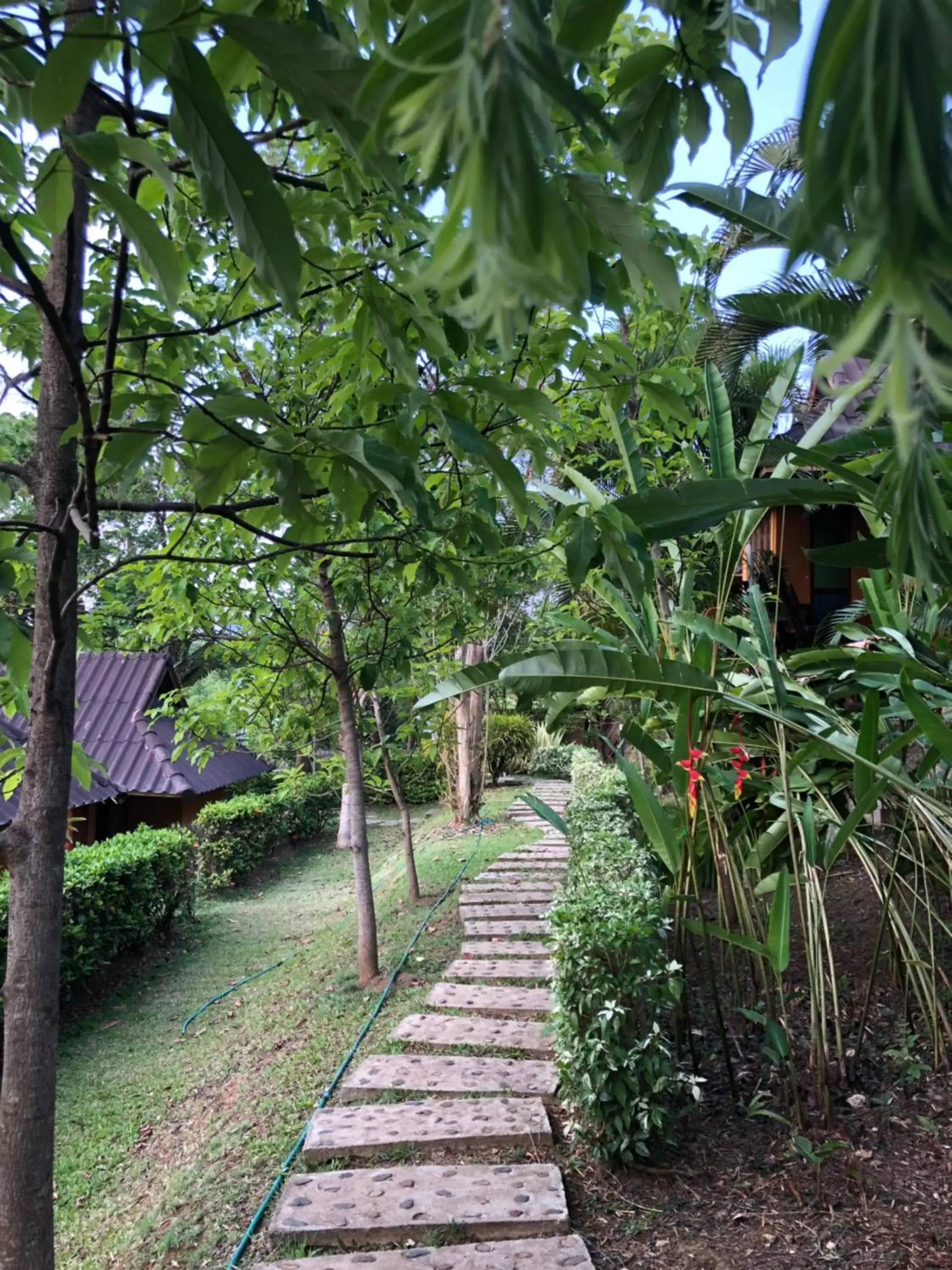 Other, Garden in Pura Vida Pai Resort