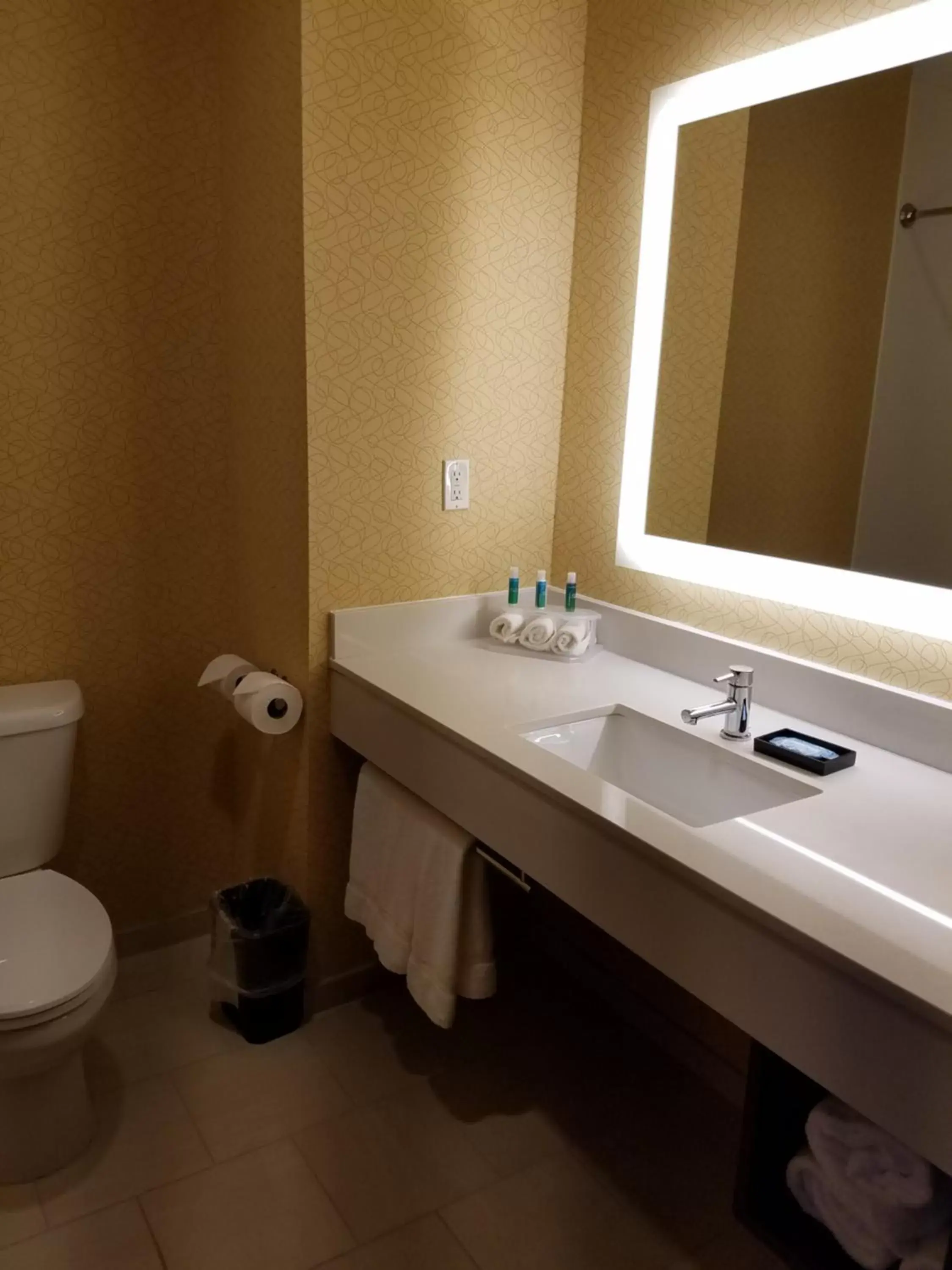 Toilet, Bathroom in Holiday Inn Express Bordentown - Trenton South, an IHG Hotel