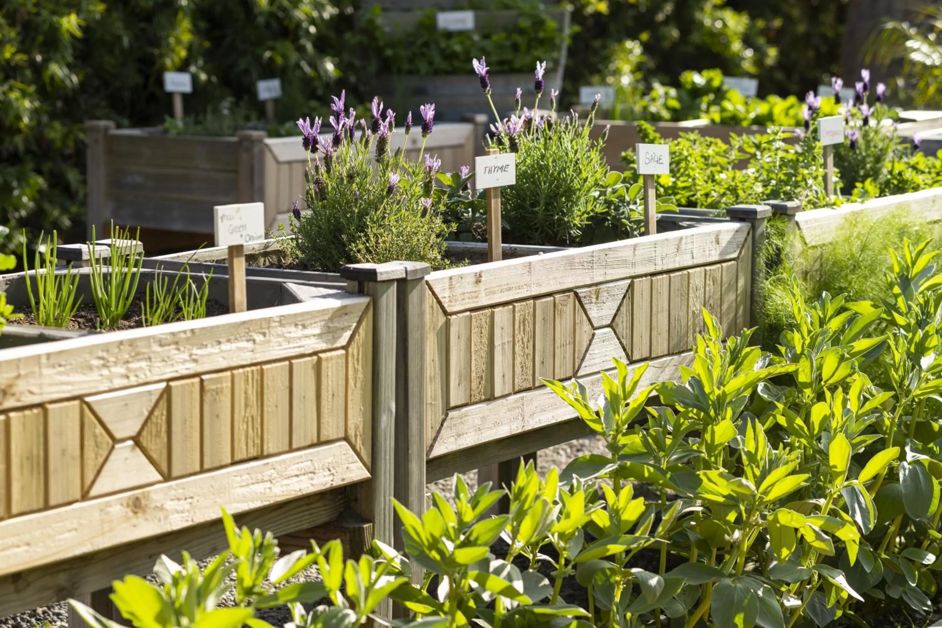 Fitness centre/facilities in Torrance Marriott Redondo Beach