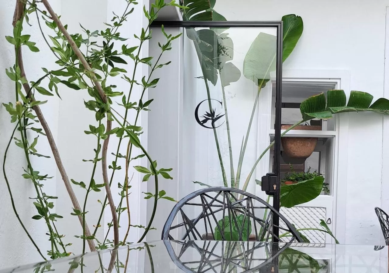 Patio in Casa de las Flores - Hotel Boutique Lanzarote