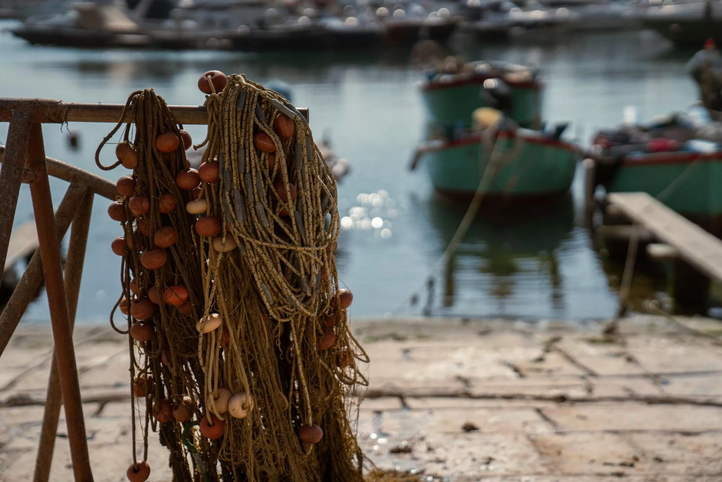 Day in B&B Palazzo Vittoria