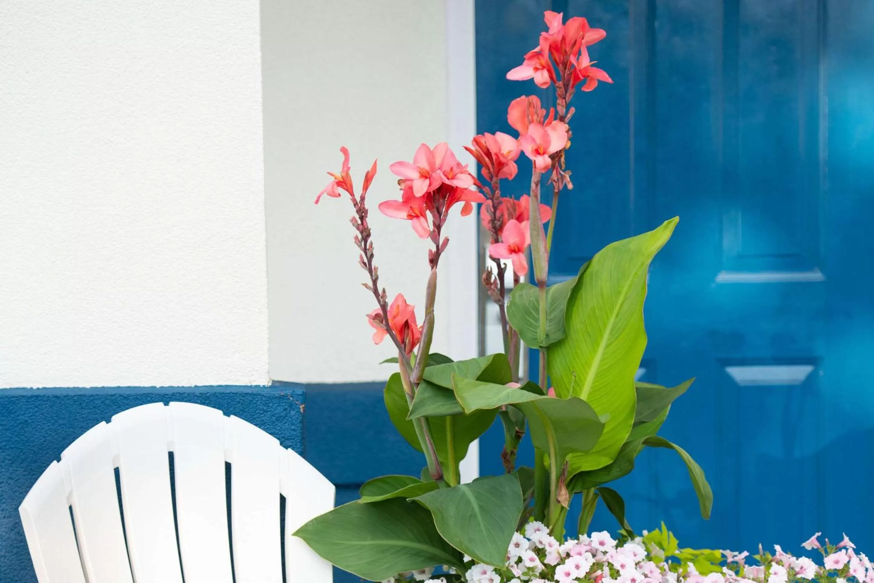 Property building in Rodeway Inn Middletown - Newport