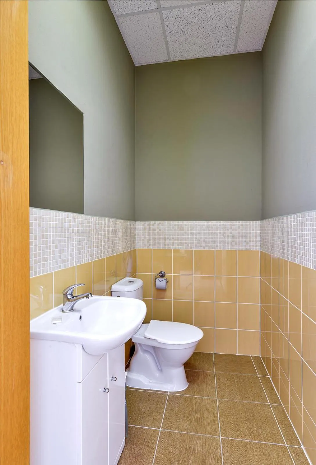 Toilet in Plus Prague