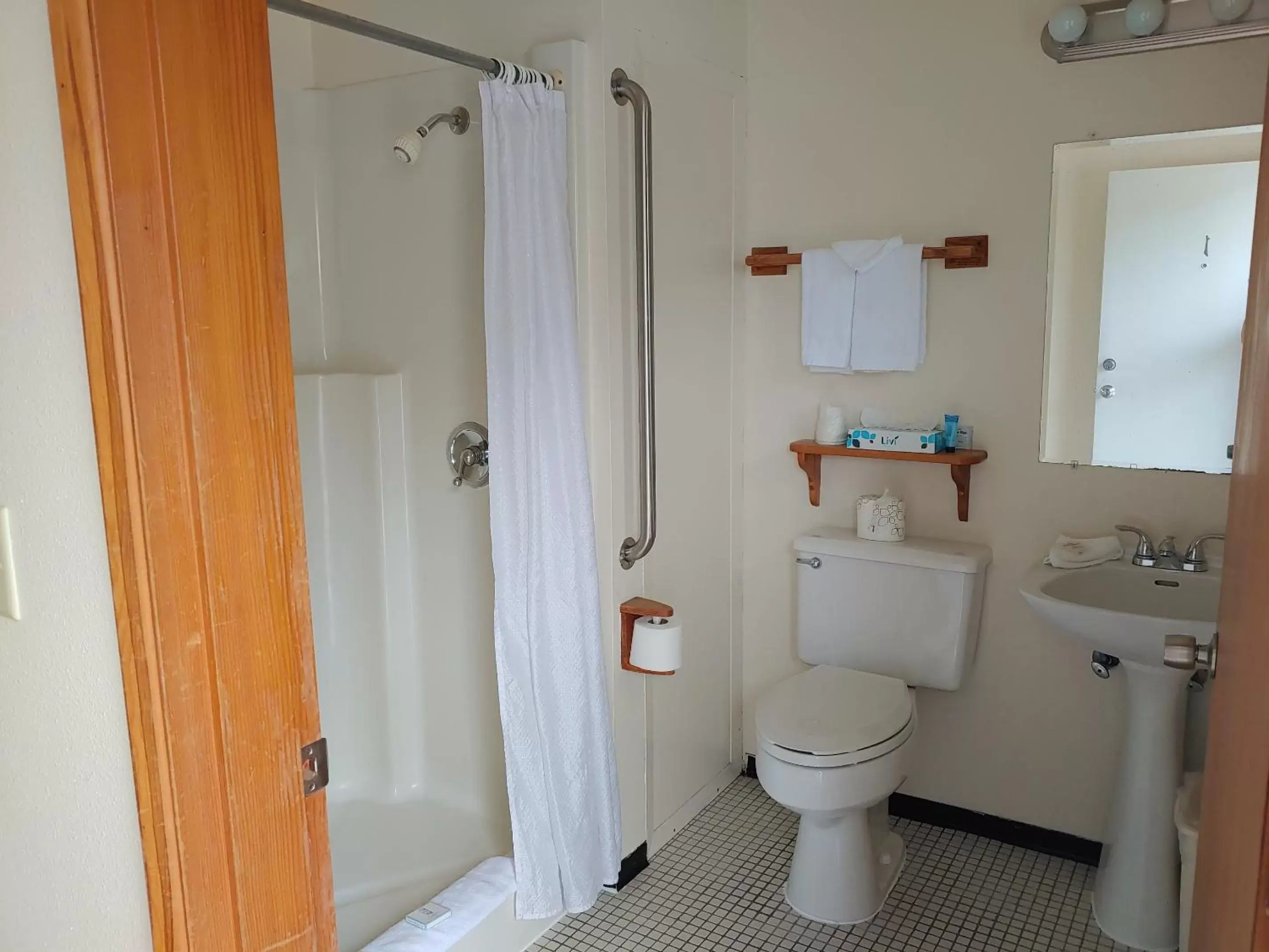 Shower, Bathroom in The Dublin House Motel