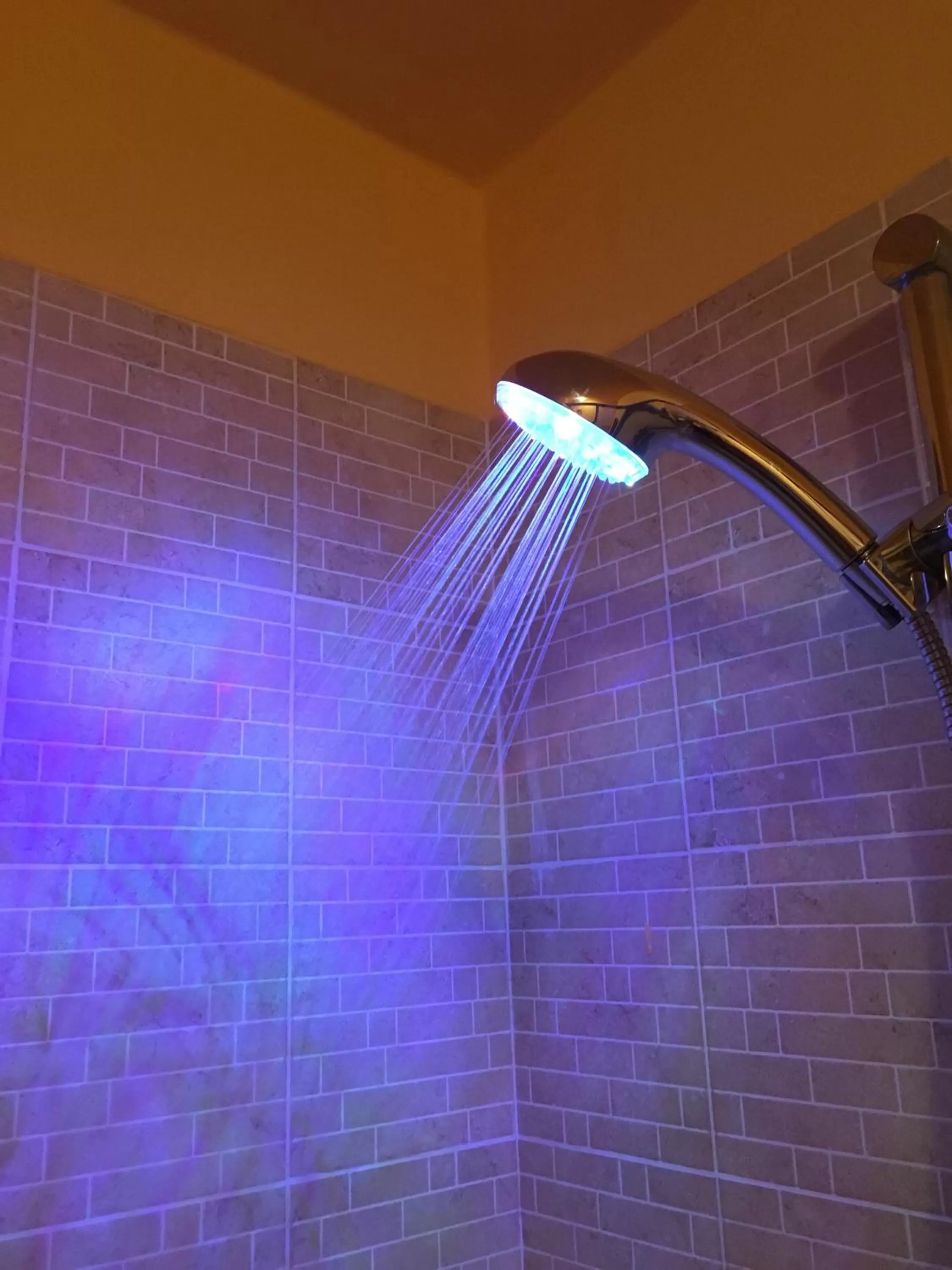 Shower in Al Cardinale Rooms & Studios